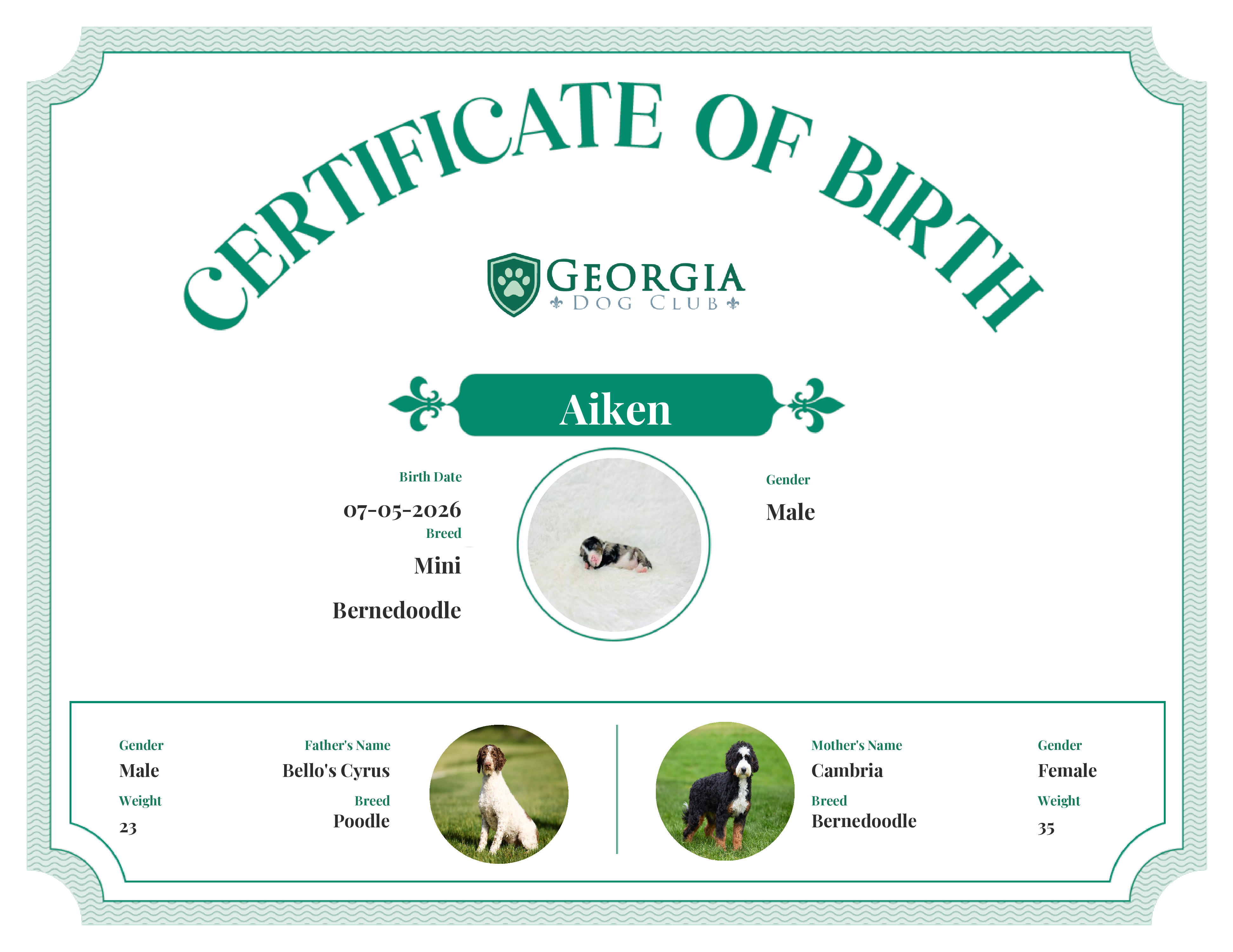 Aiken's Birth Certificate