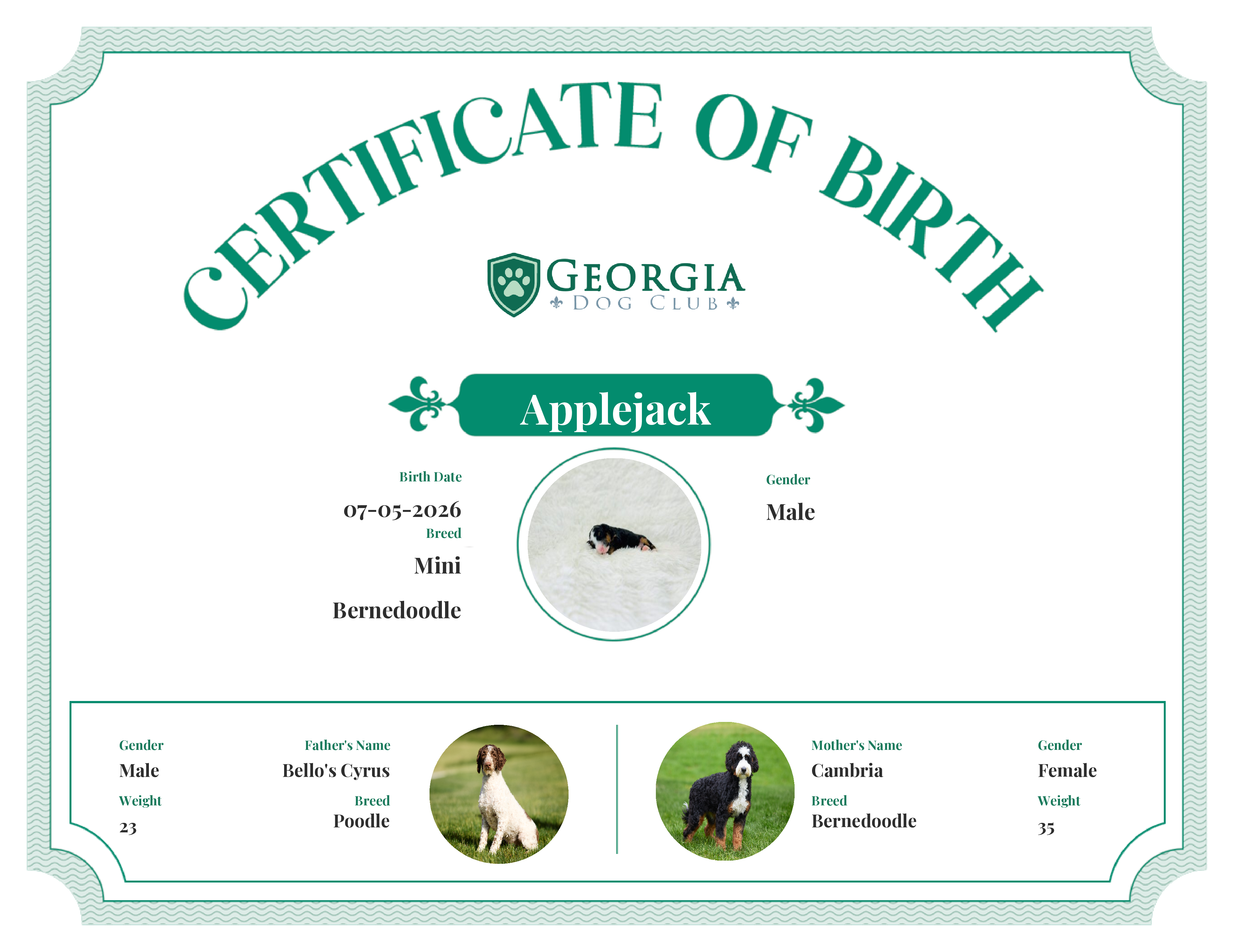 Applejack's Birth Certificate
