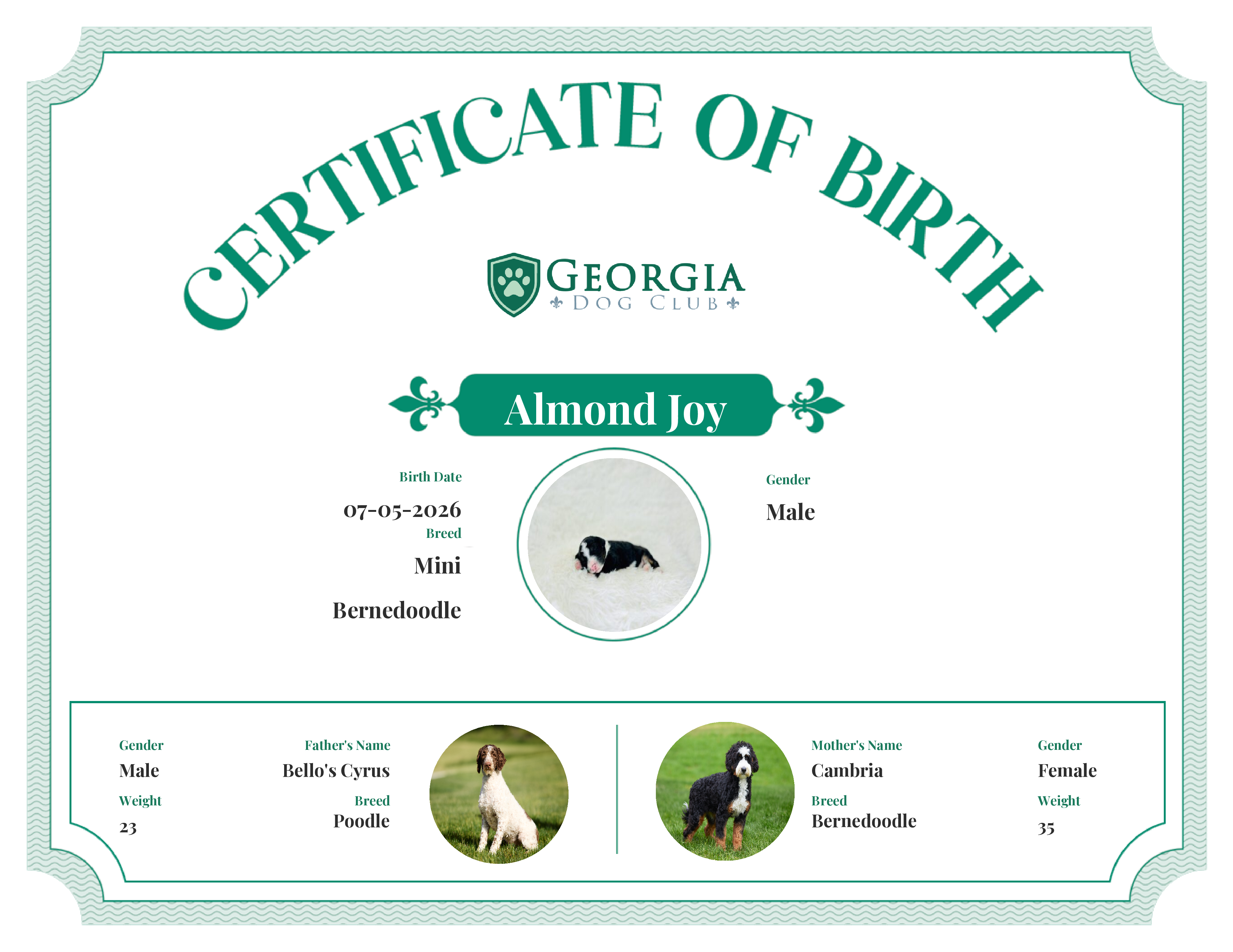 Almond Joy's Birth Certificate
