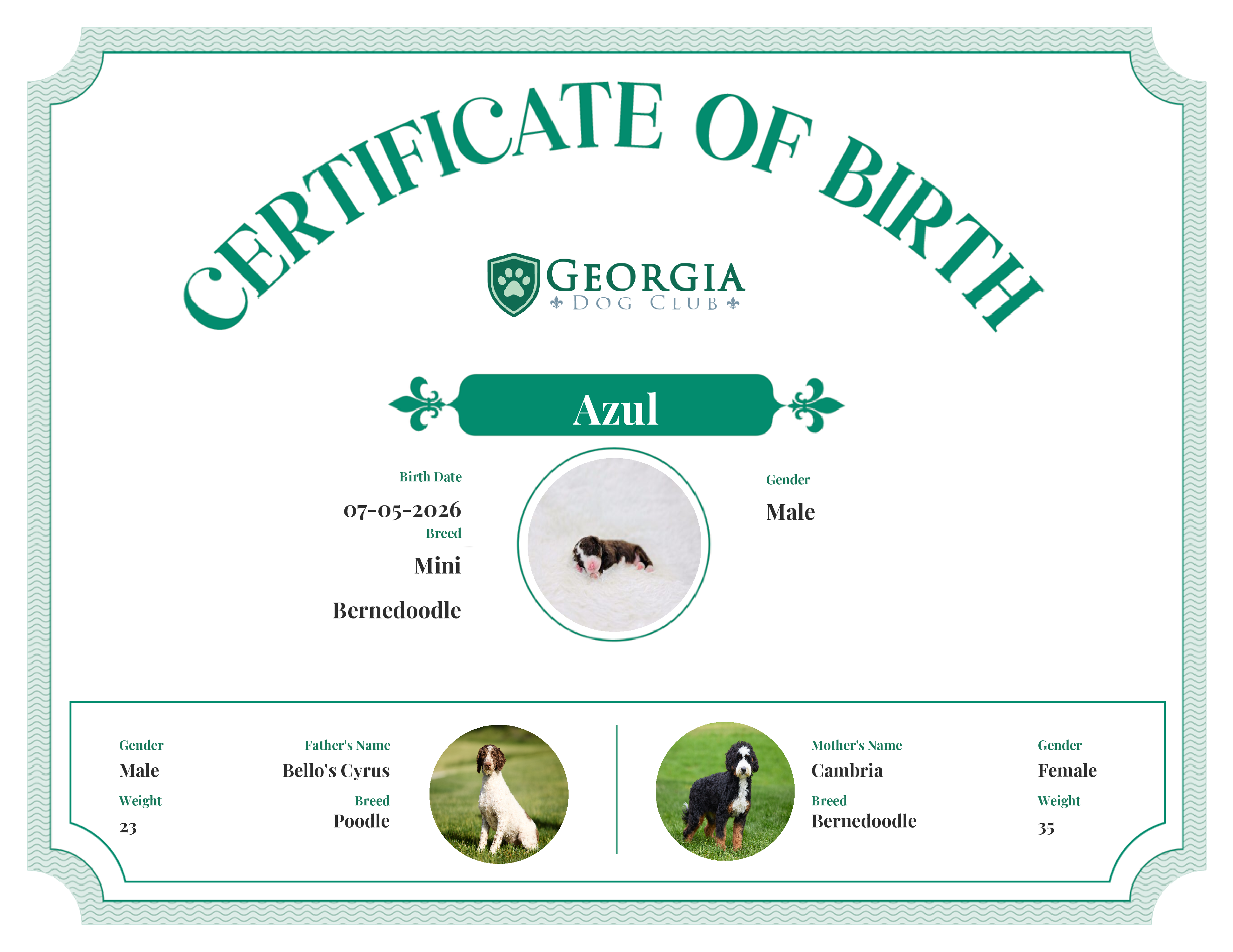 Azul's Birth Certificate