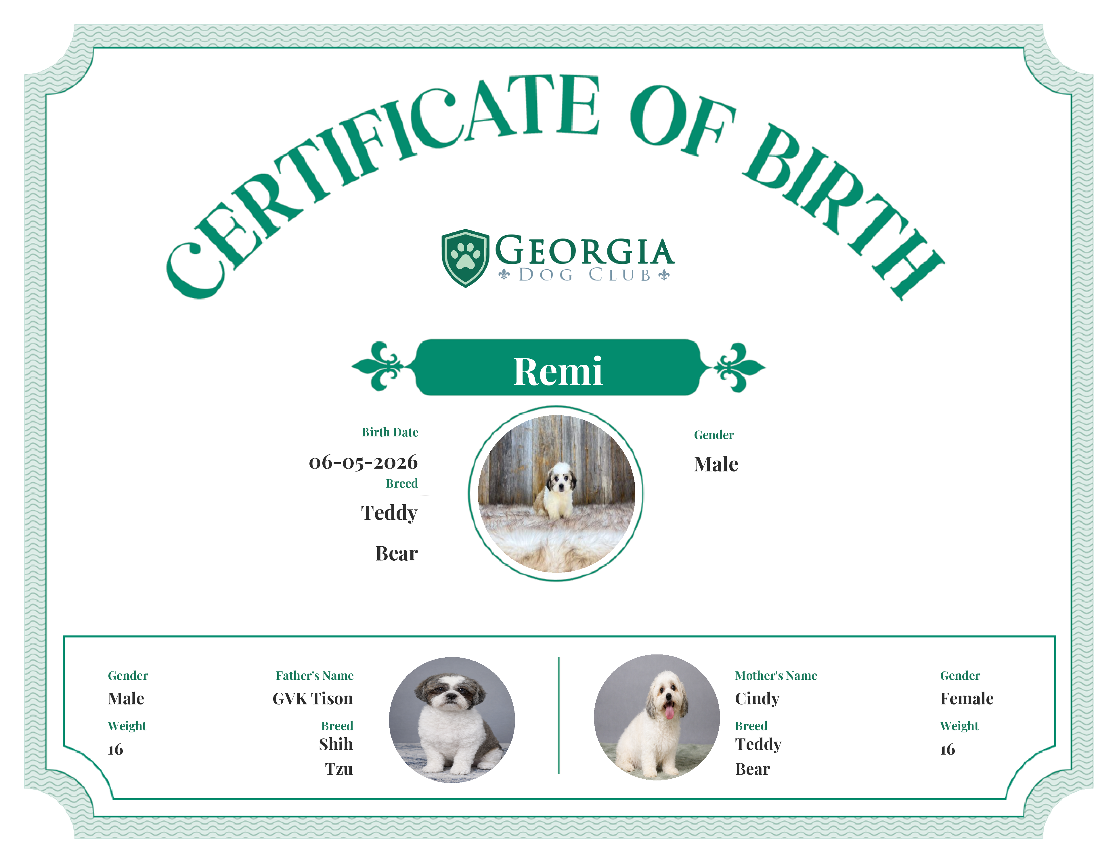 Remi's Birth Certificate