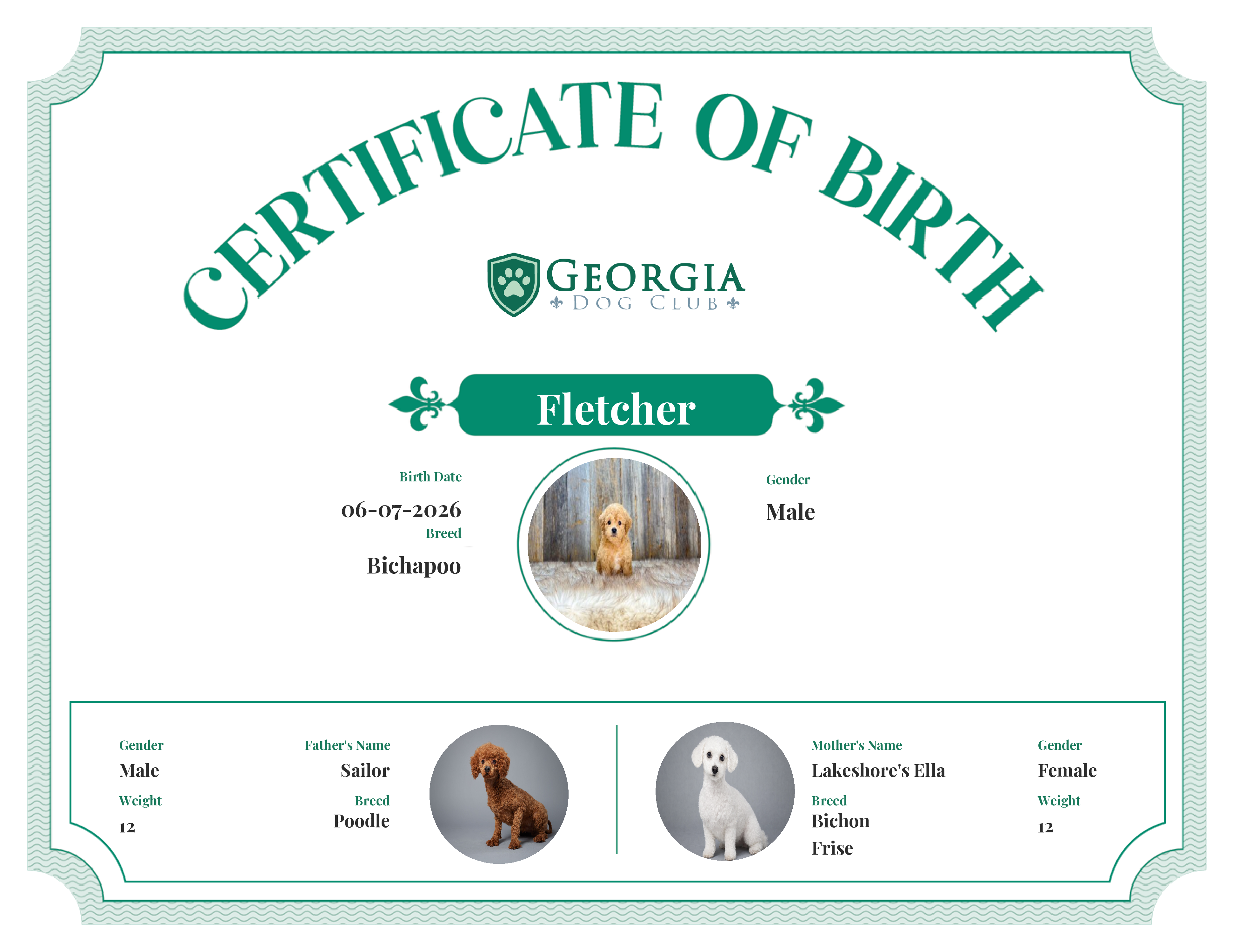 Fletcher's Birth Certificate