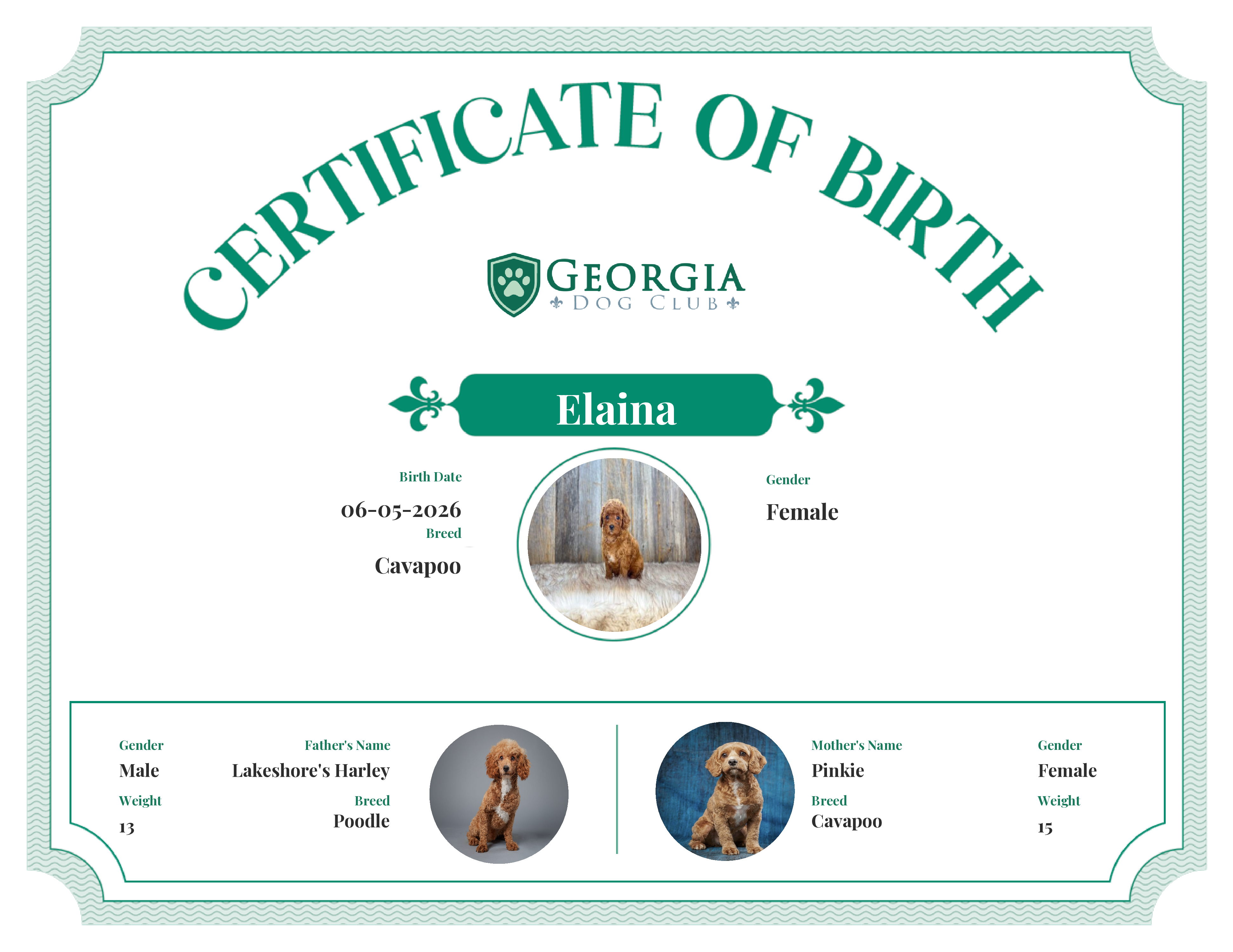 Elaina's Birth Certificate