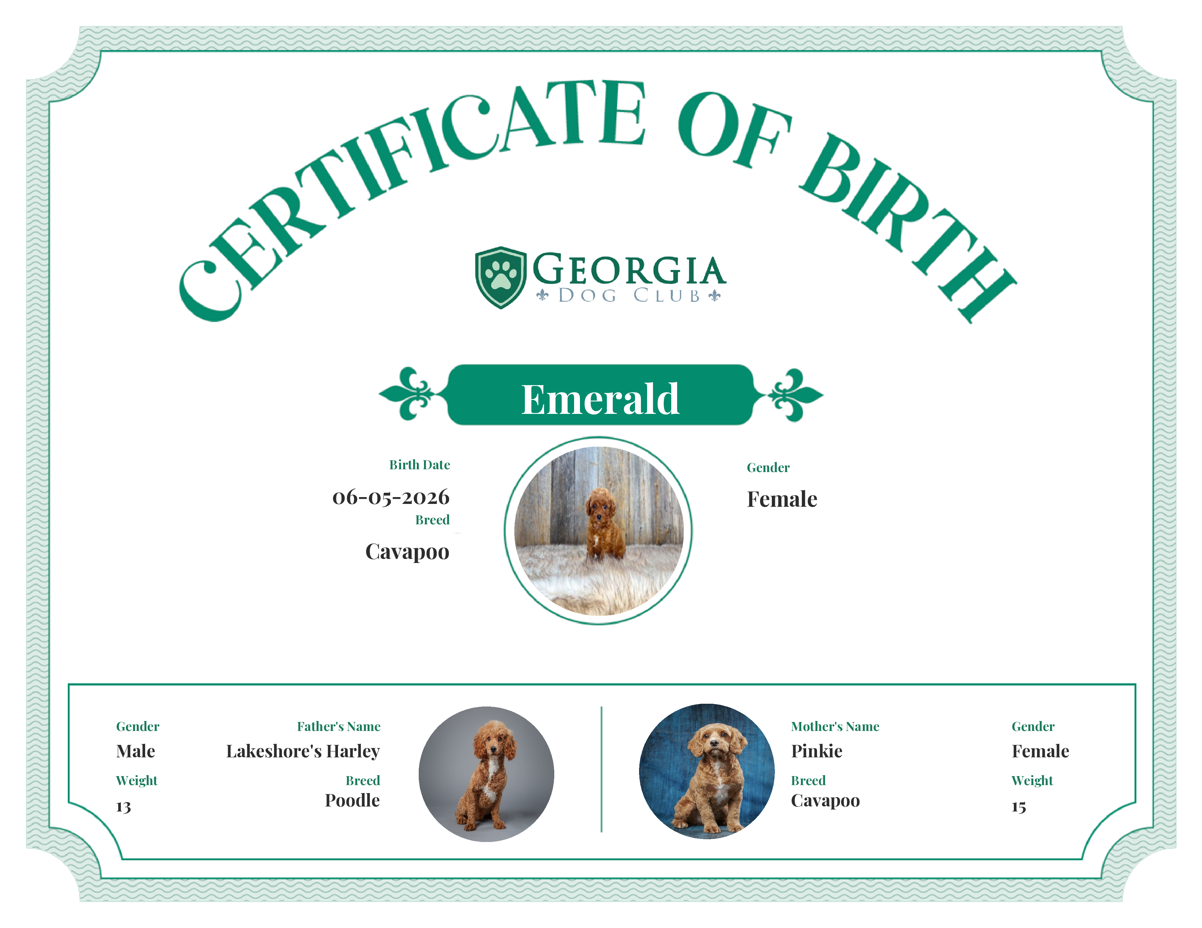 Emerald's Birth Certificate