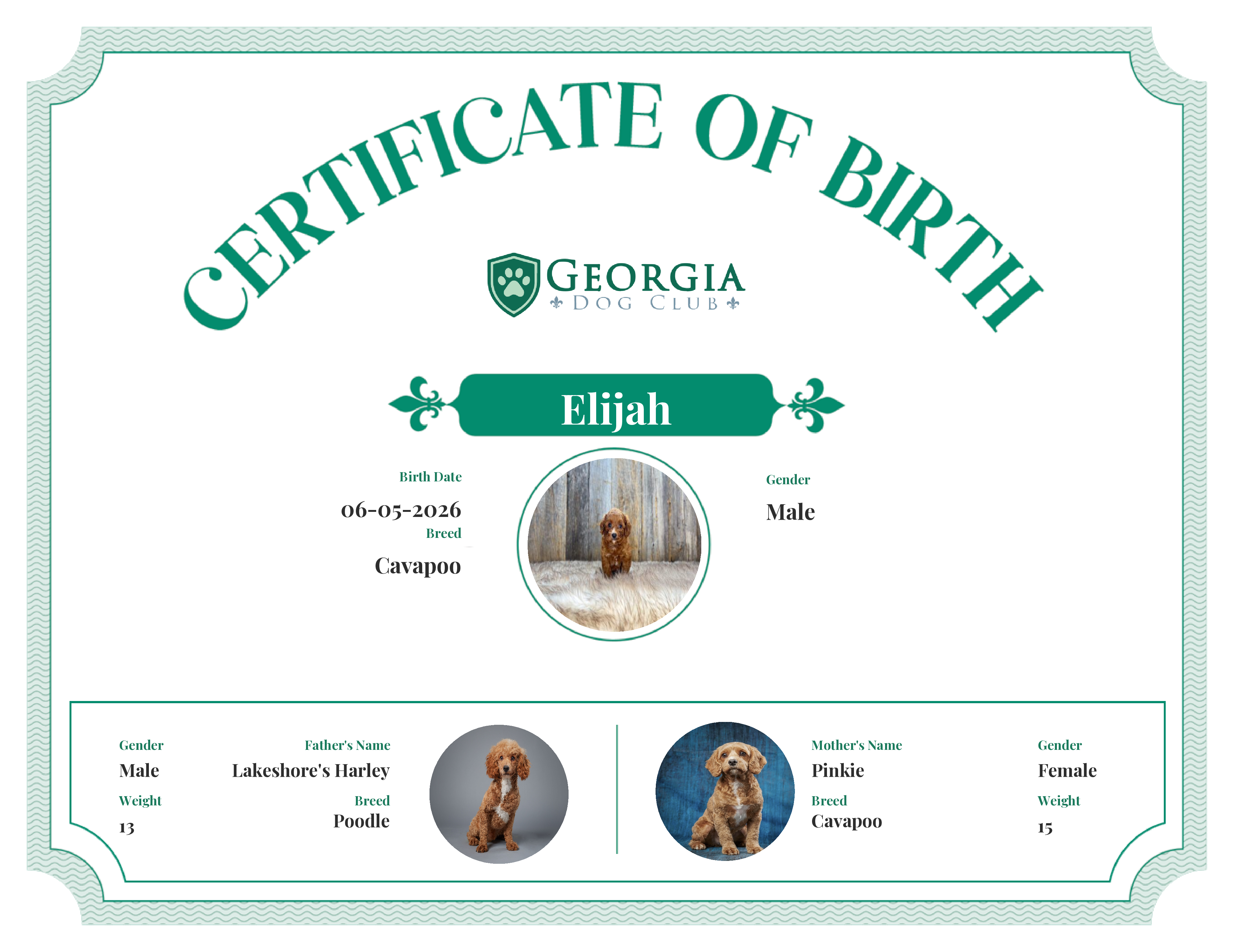 Elijah's Birth Certificate