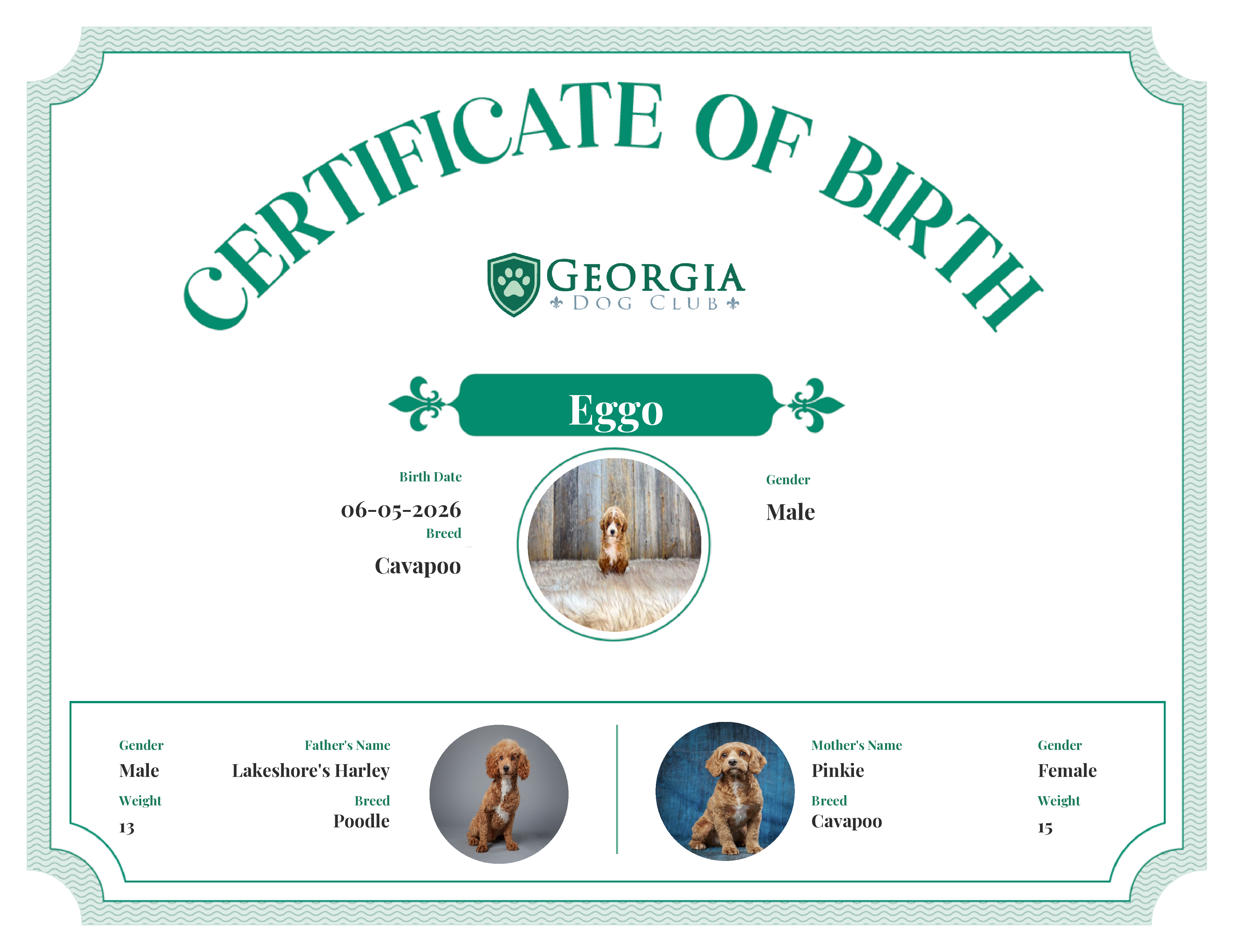 Eggo's Birth Certificate