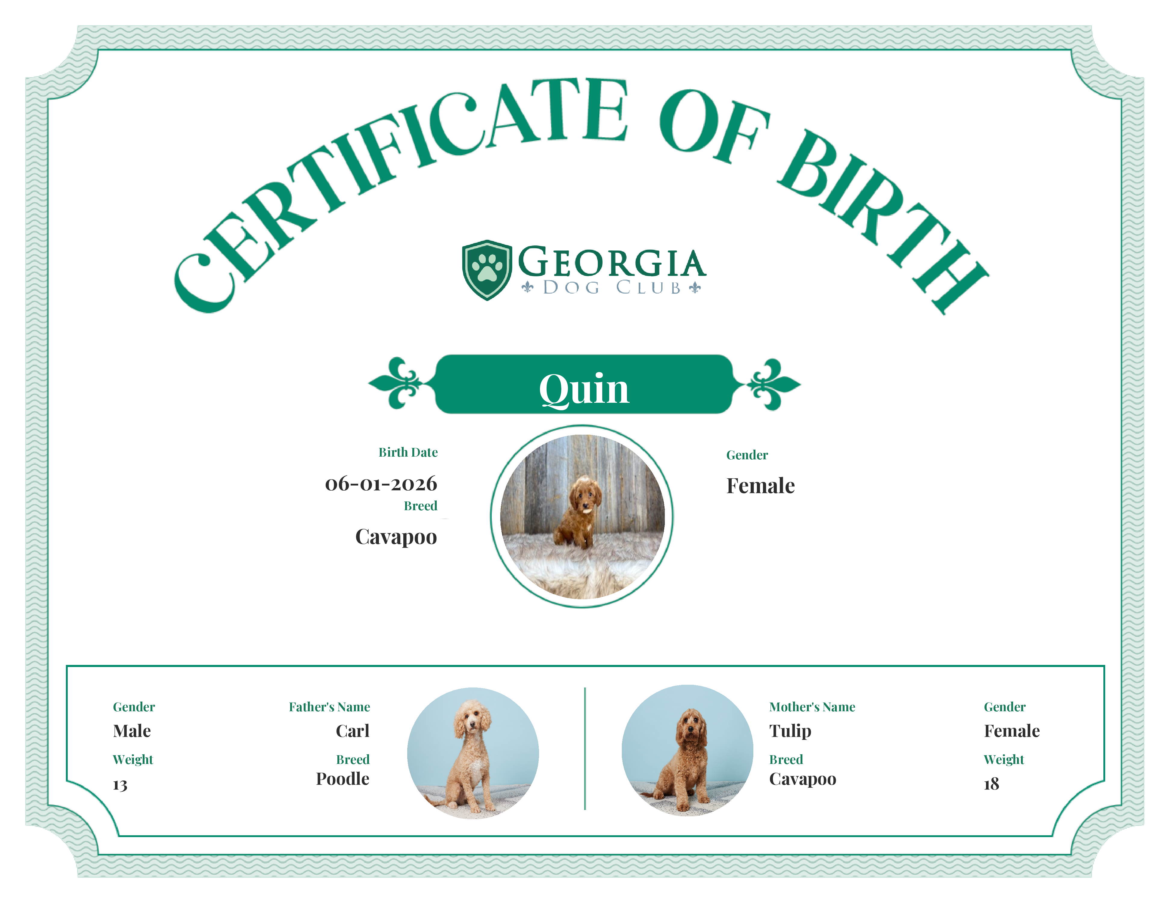 Quin's Birth Certificate