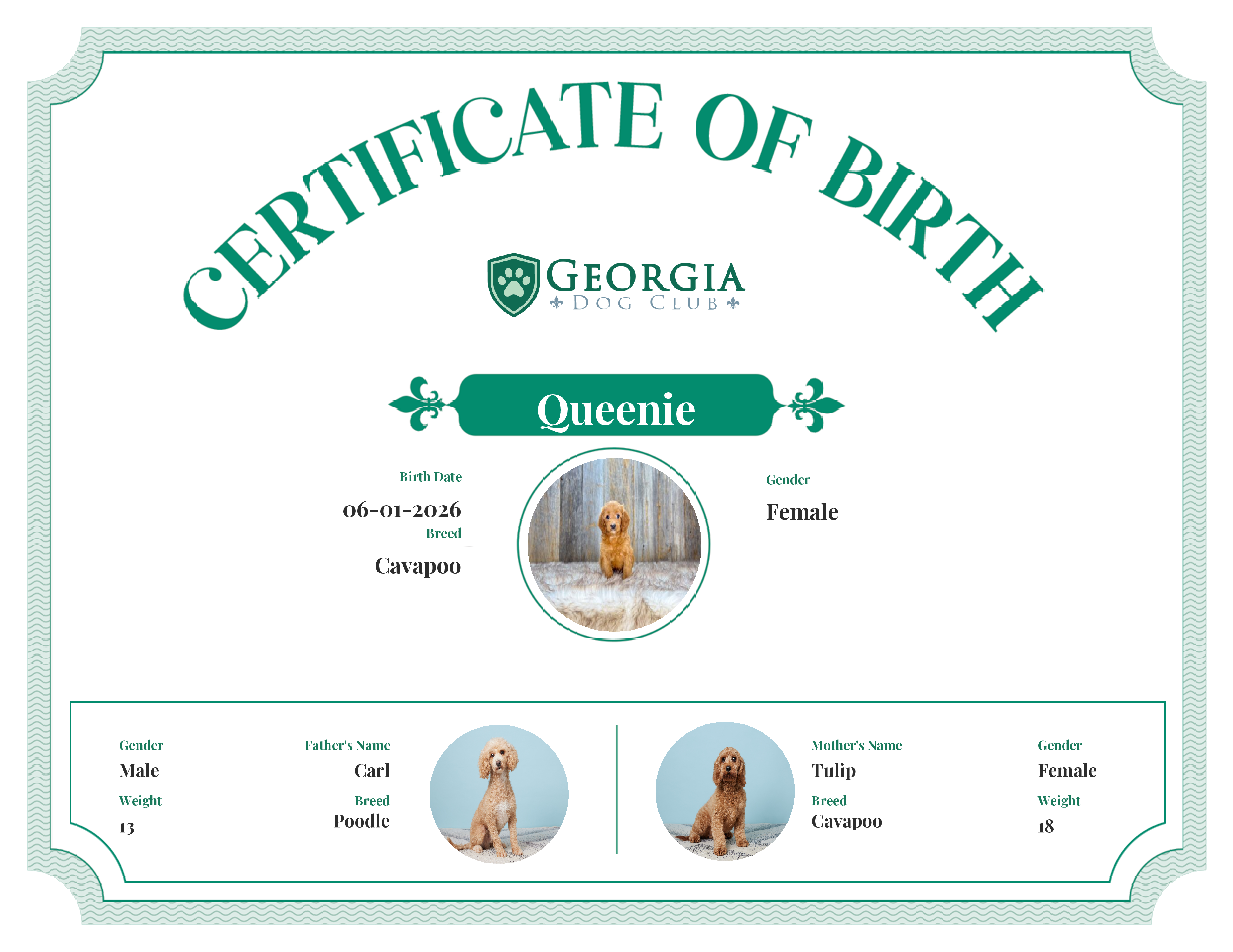 Queenie's Birth Certificate