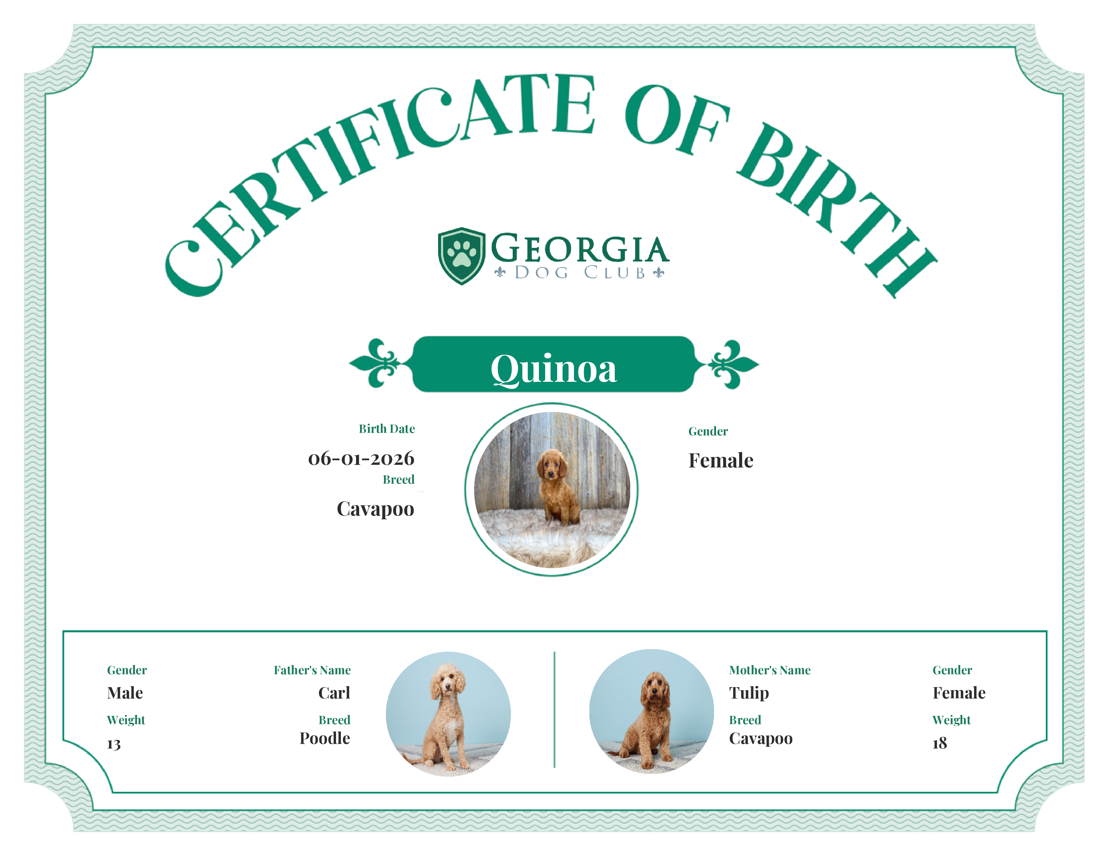 Quinoa's Birth Certificate