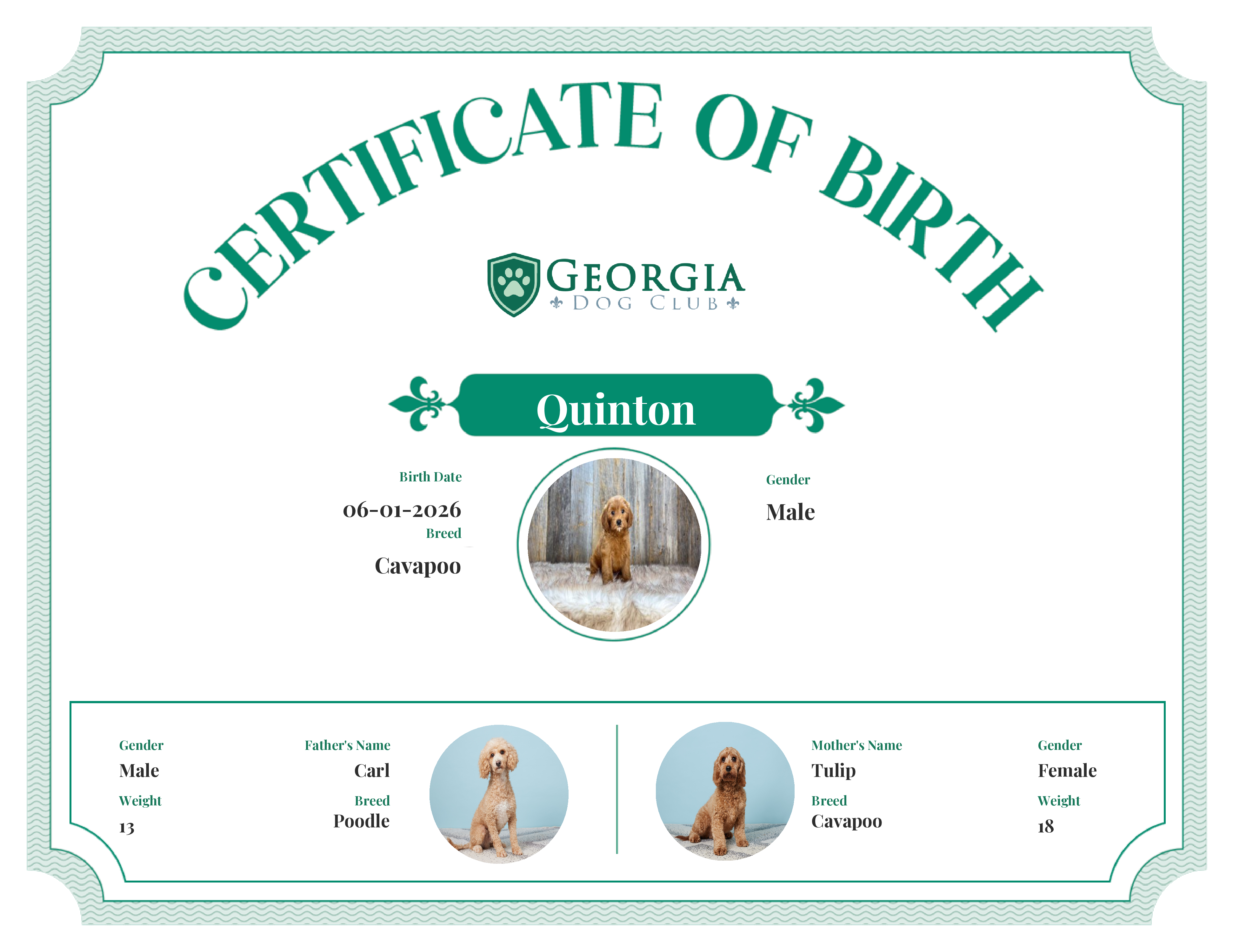 Quinton's Birth Certificate