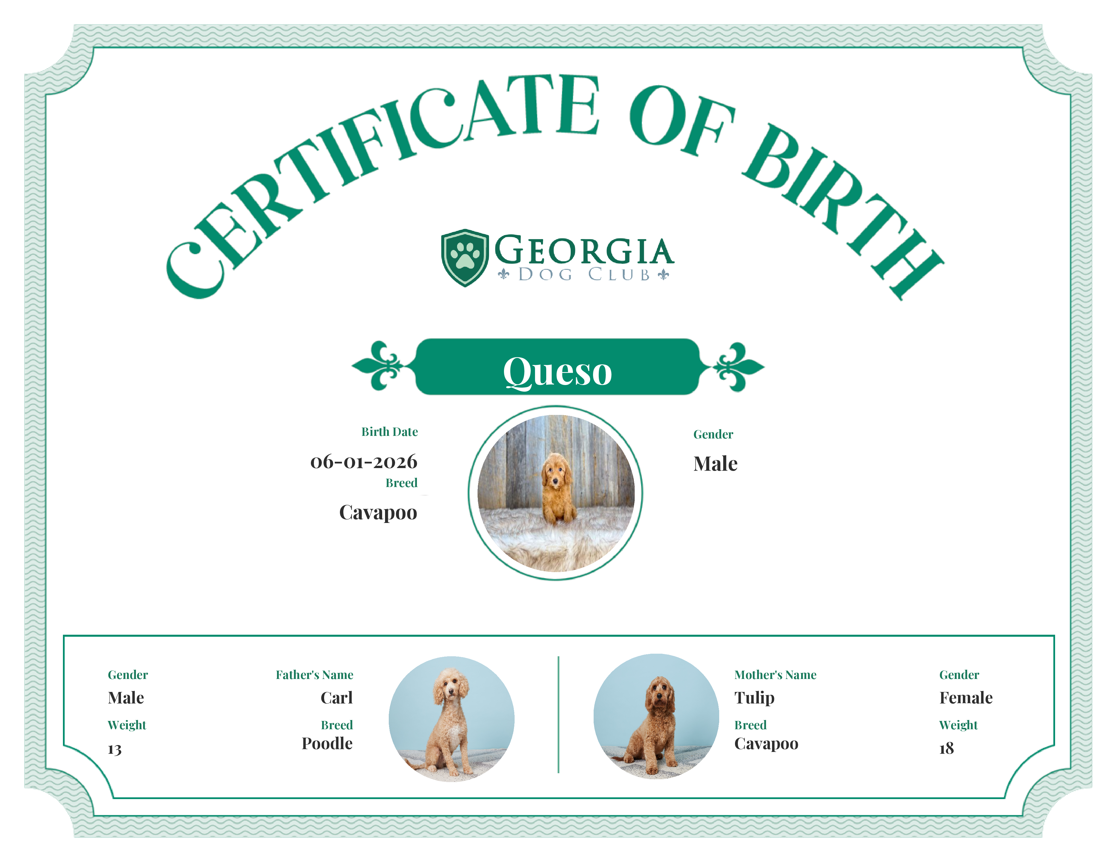 Queso's Birth Certificate