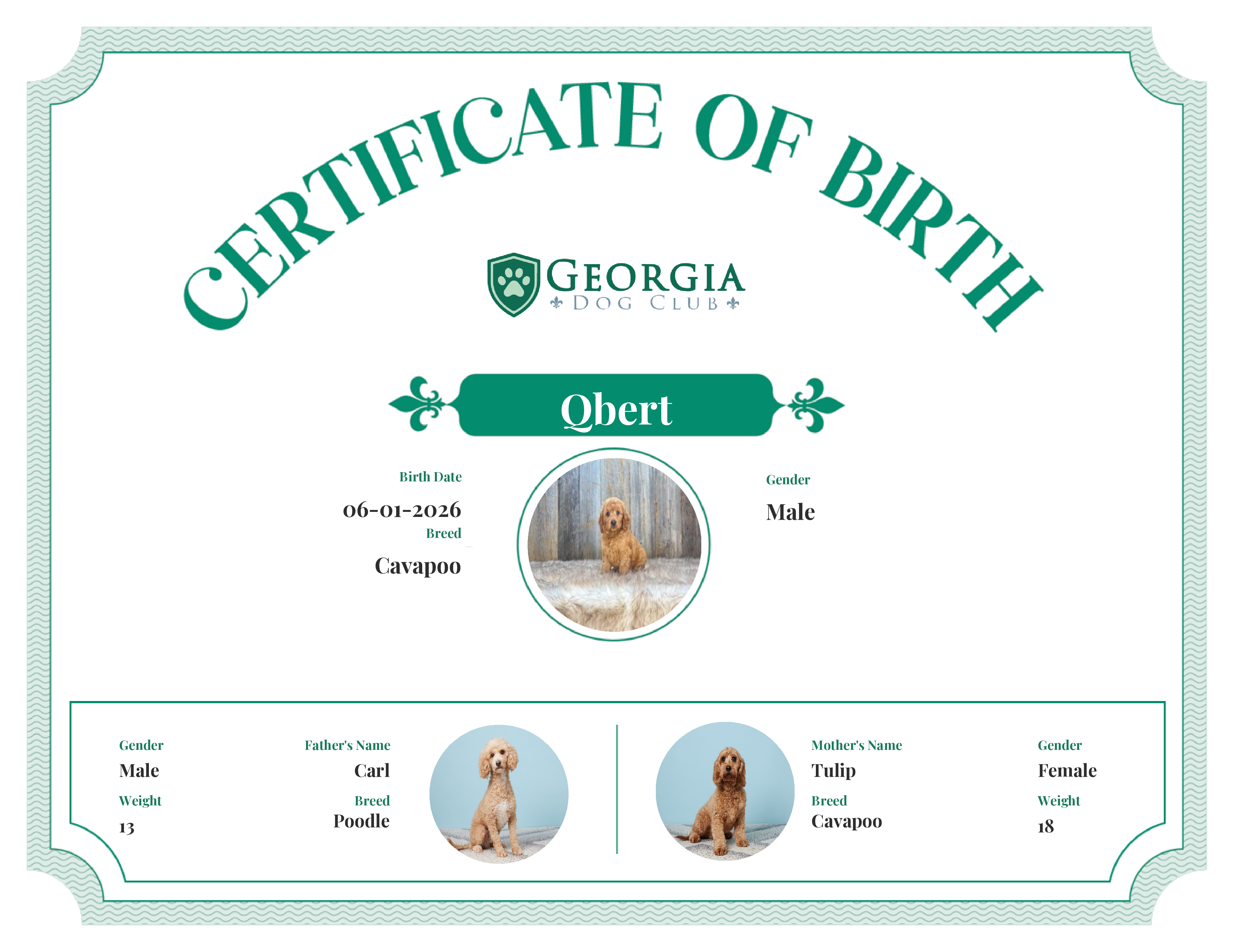 Qbert's Birth Certificate