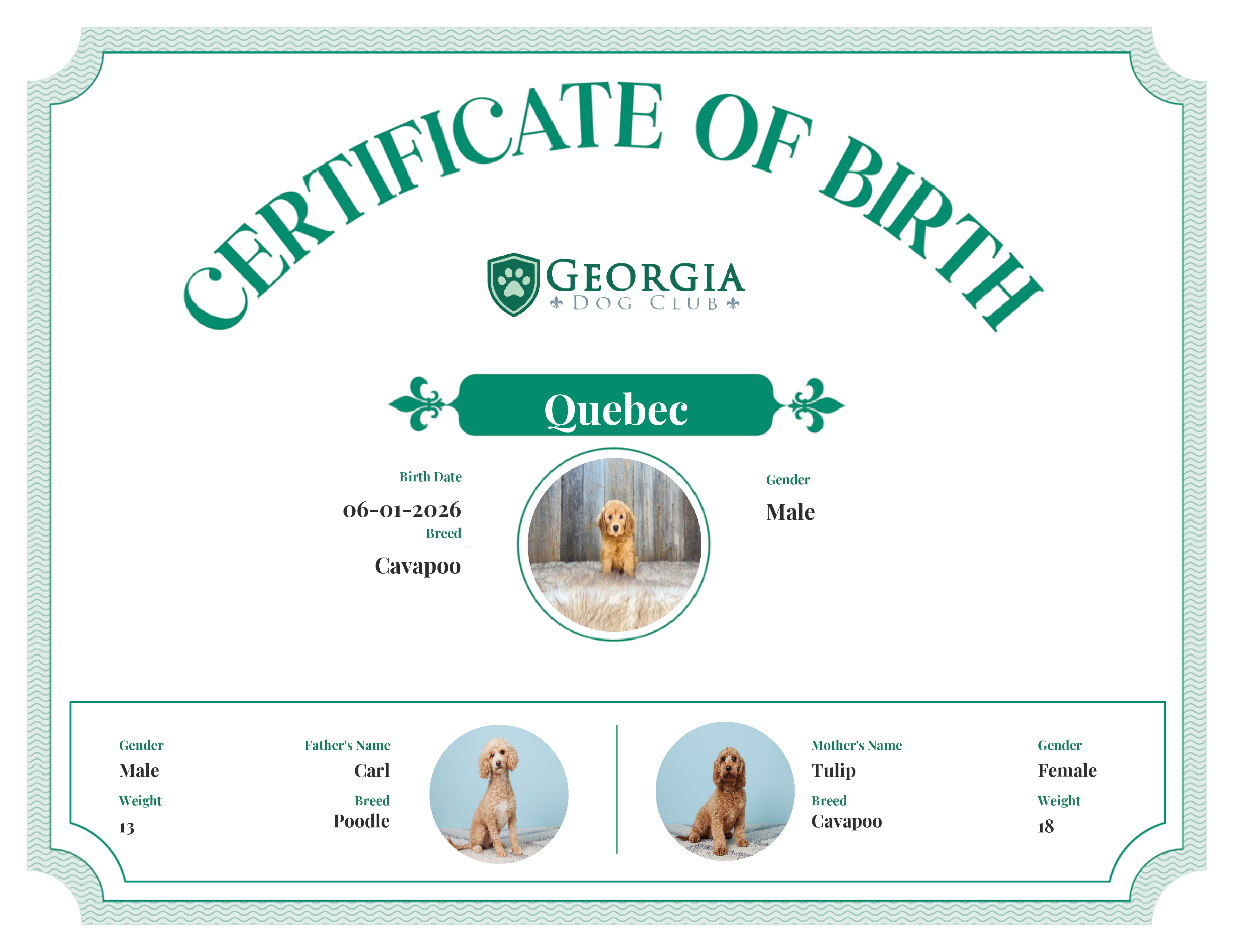 Quebec's Birth Certificate