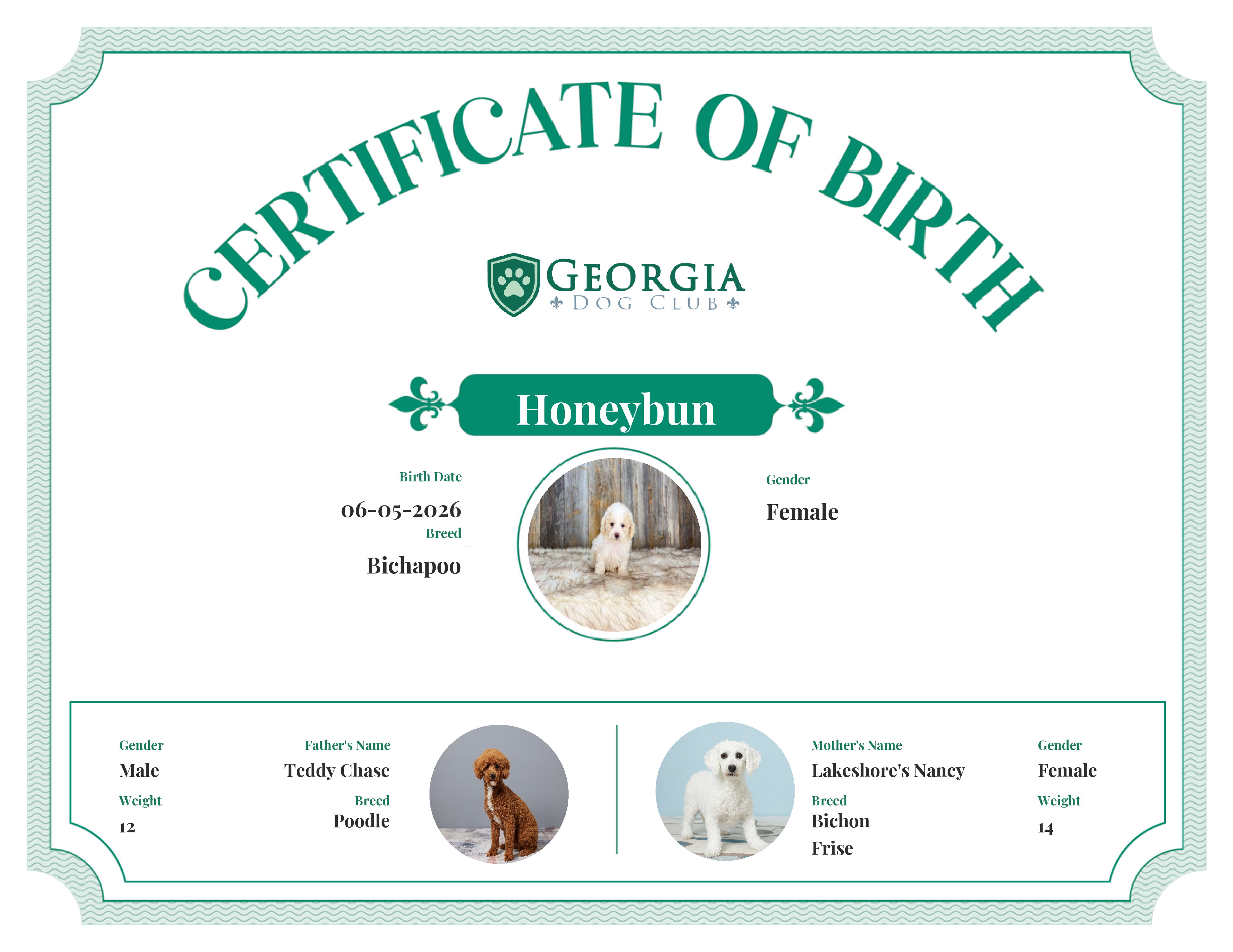 Honeybun's Birth Certificate