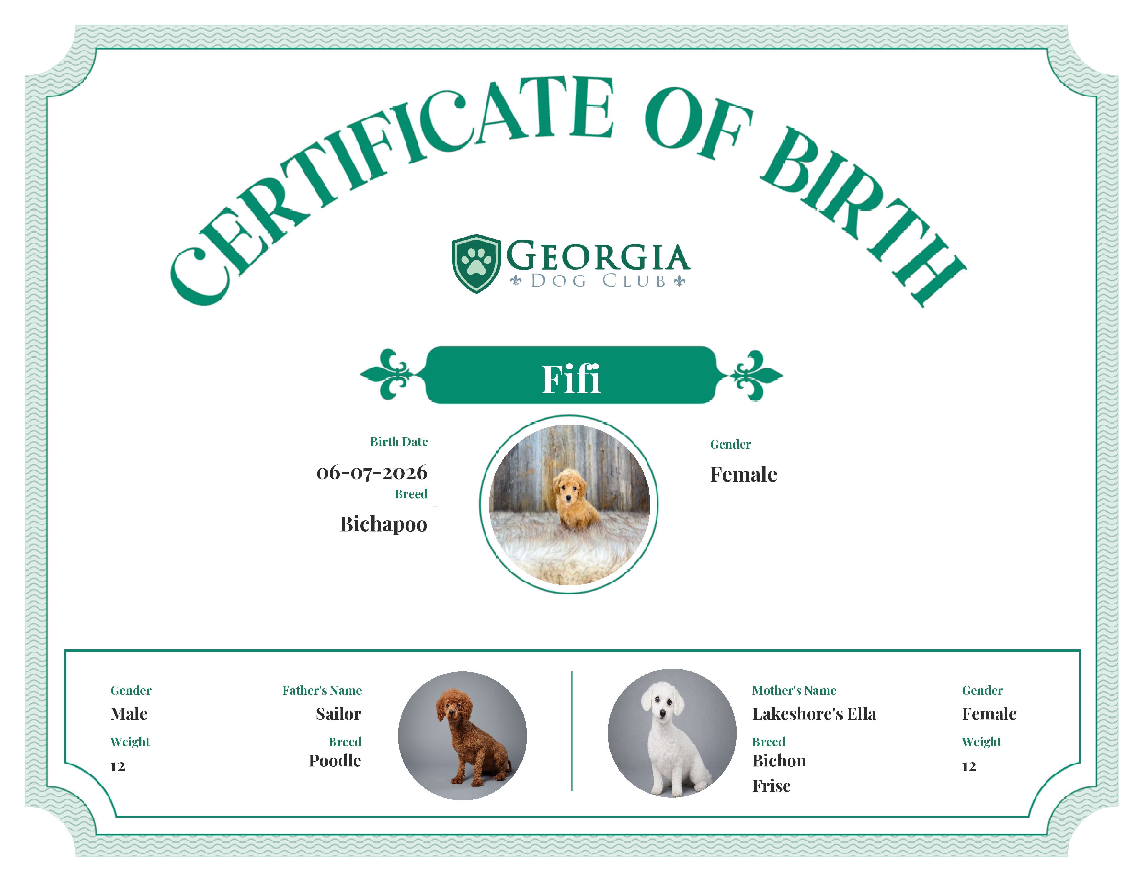 Fifi's Birth Certificate