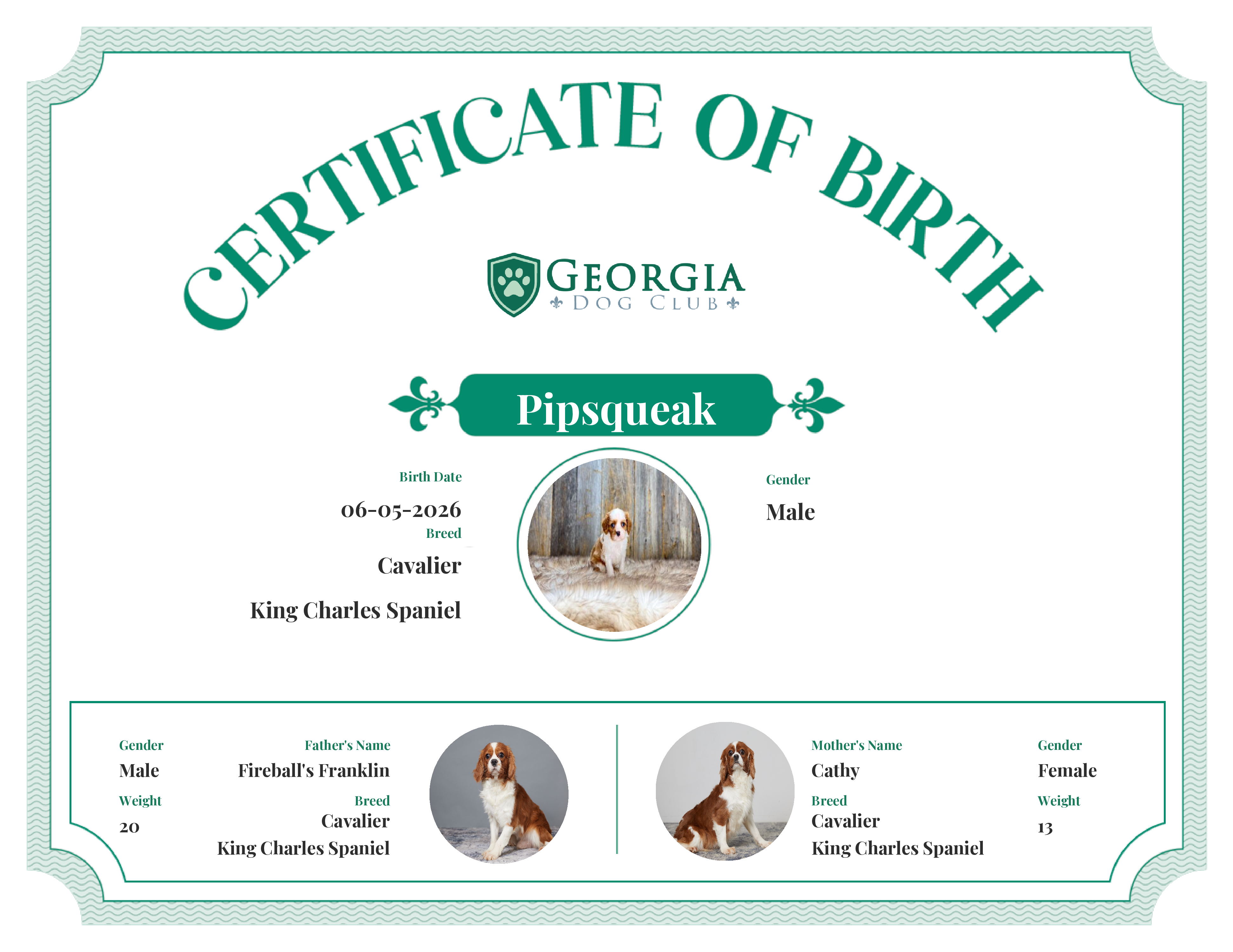 Pipsqueak's Birth Certificate