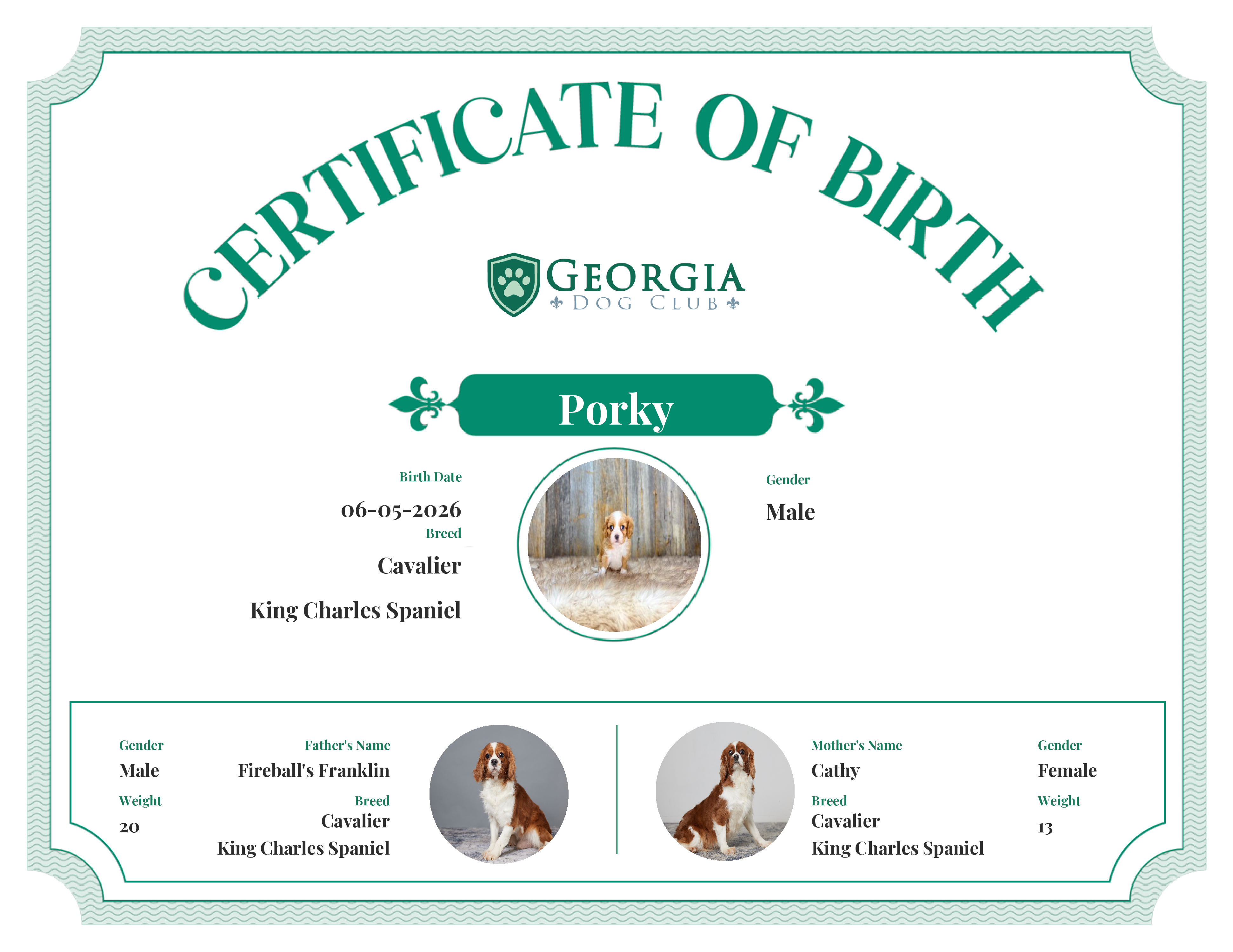 Porky's Birth Certificate
