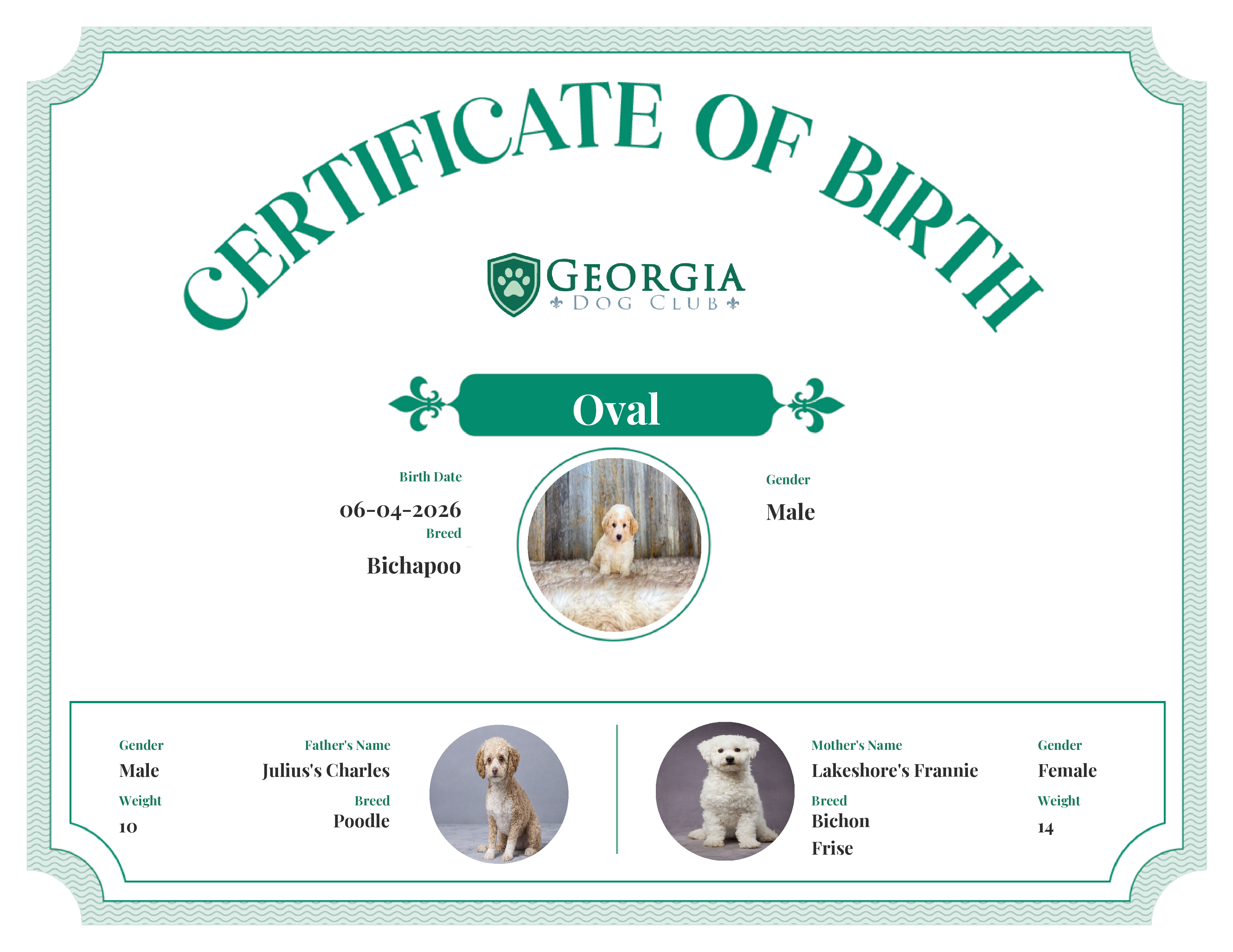 Oval's Birth Certificate