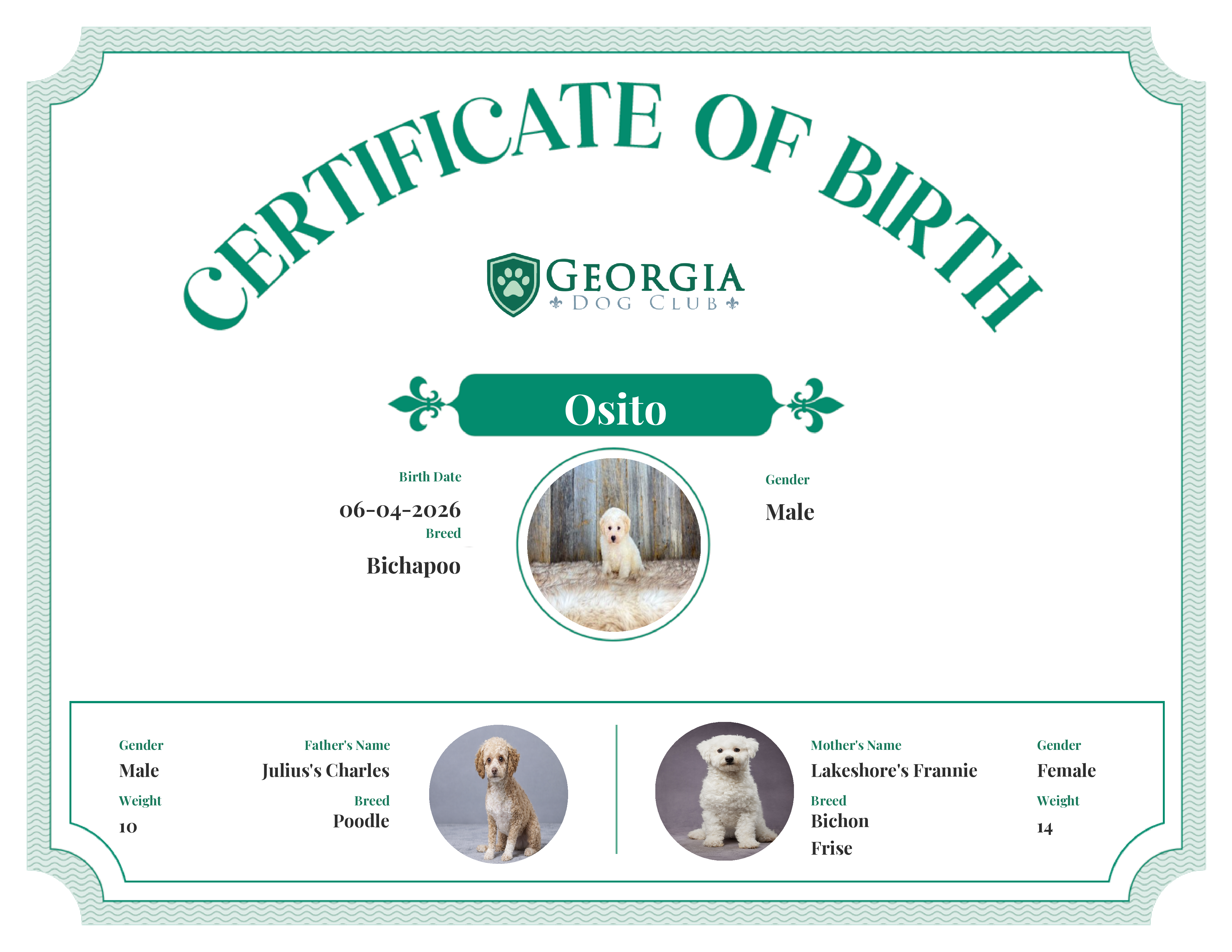 Osito's Birth Certificate