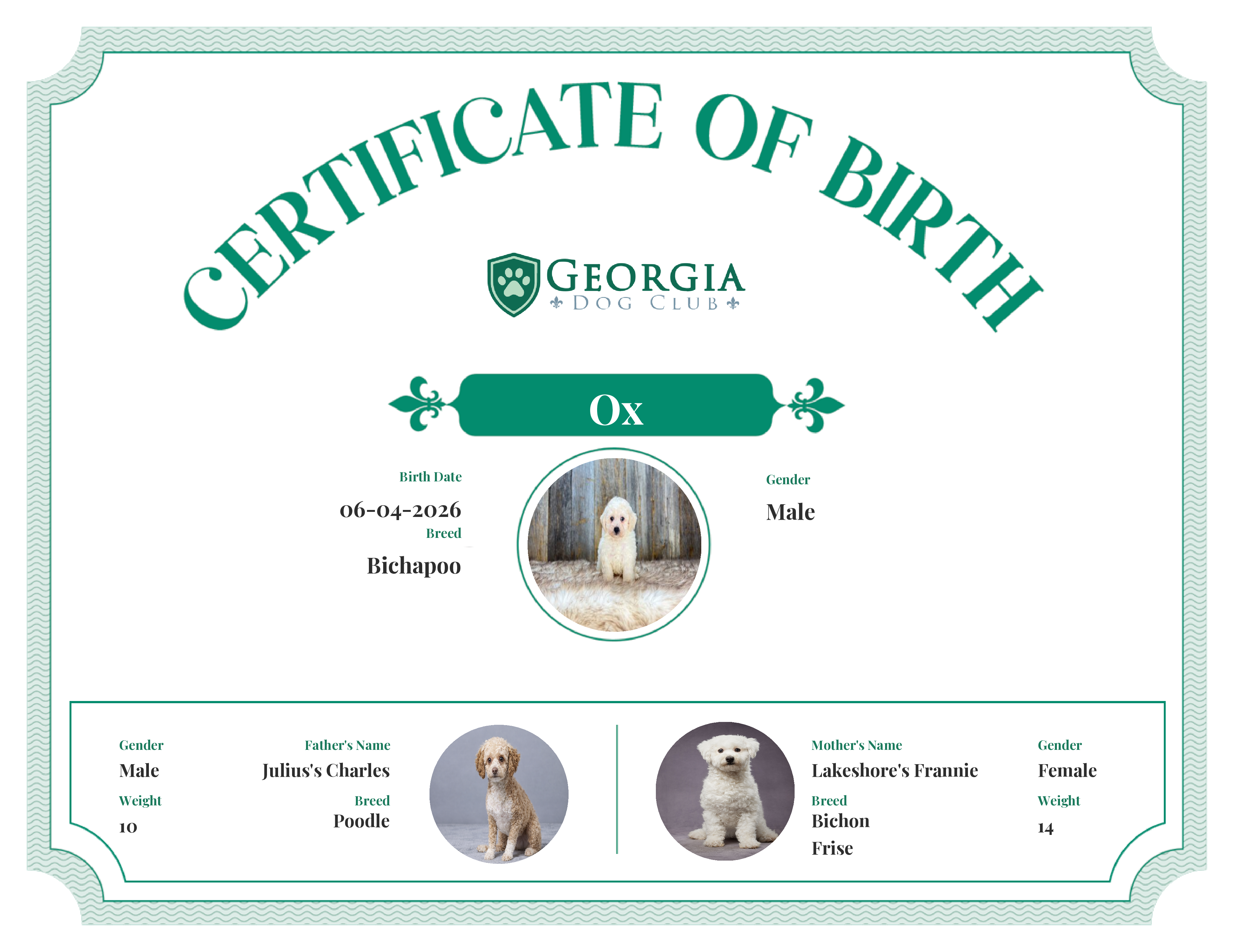 Ox's Birth Certificate