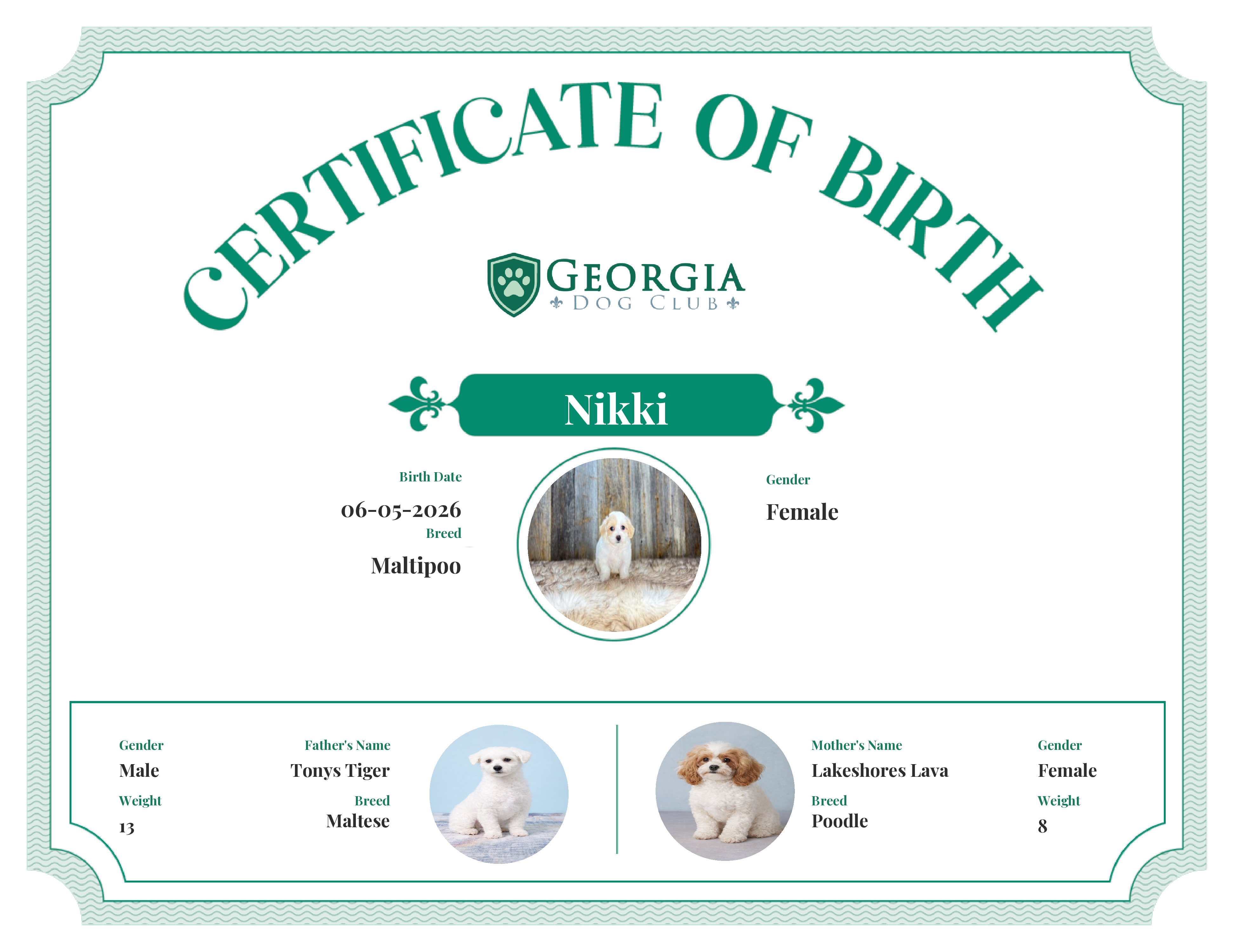 Nikki's Birth Certificate