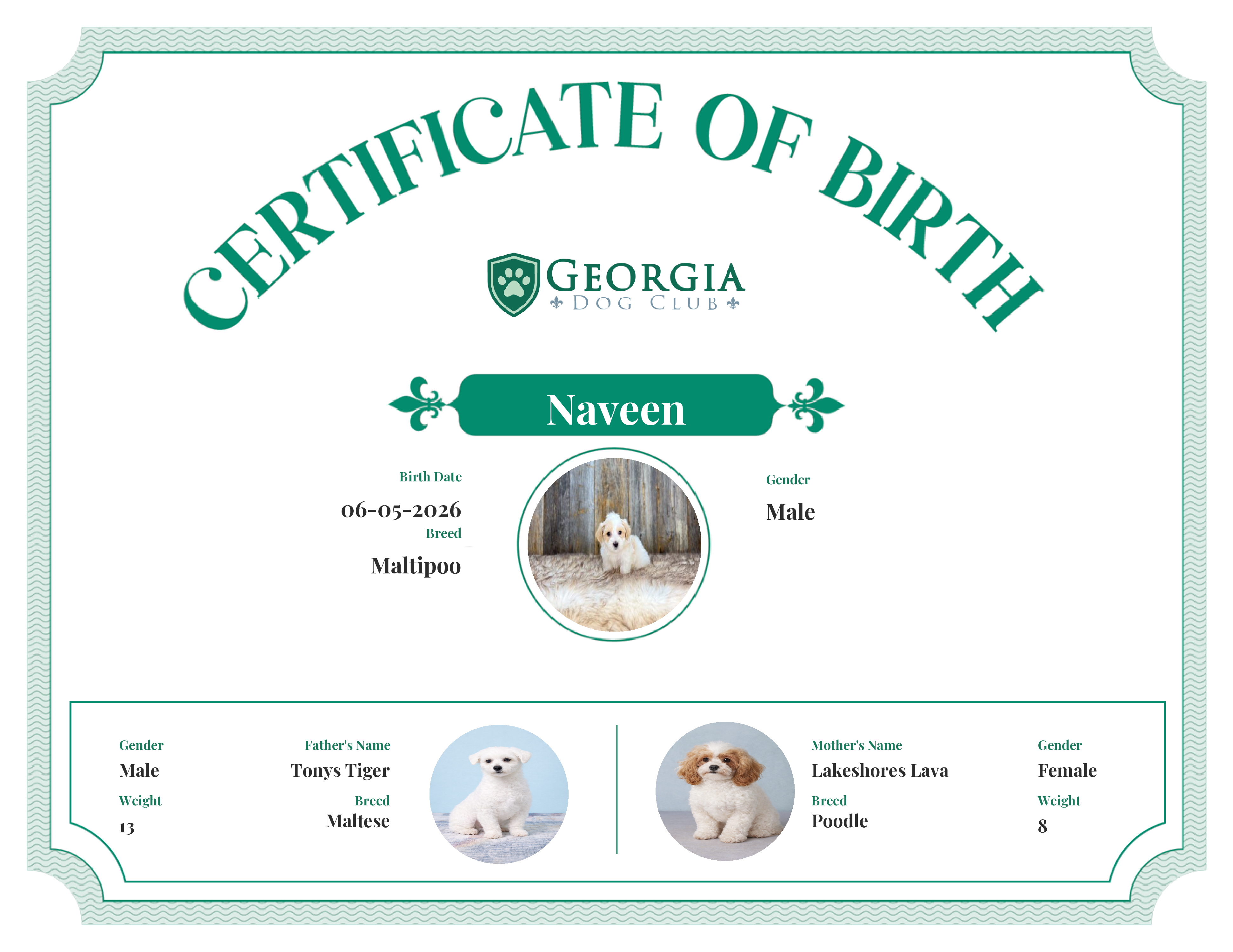 Naveen's Birth Certificate
