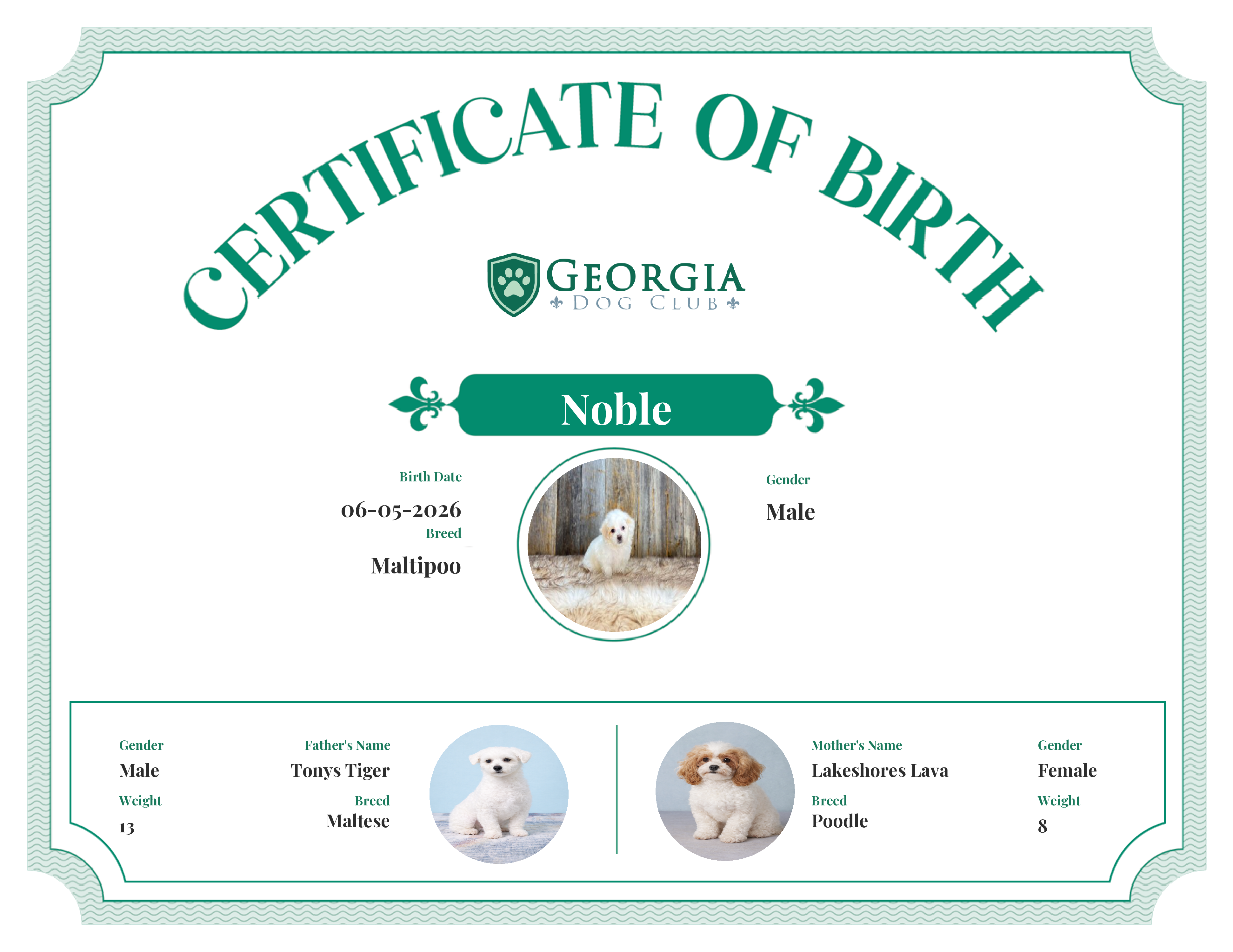 Noble's Birth Certificate