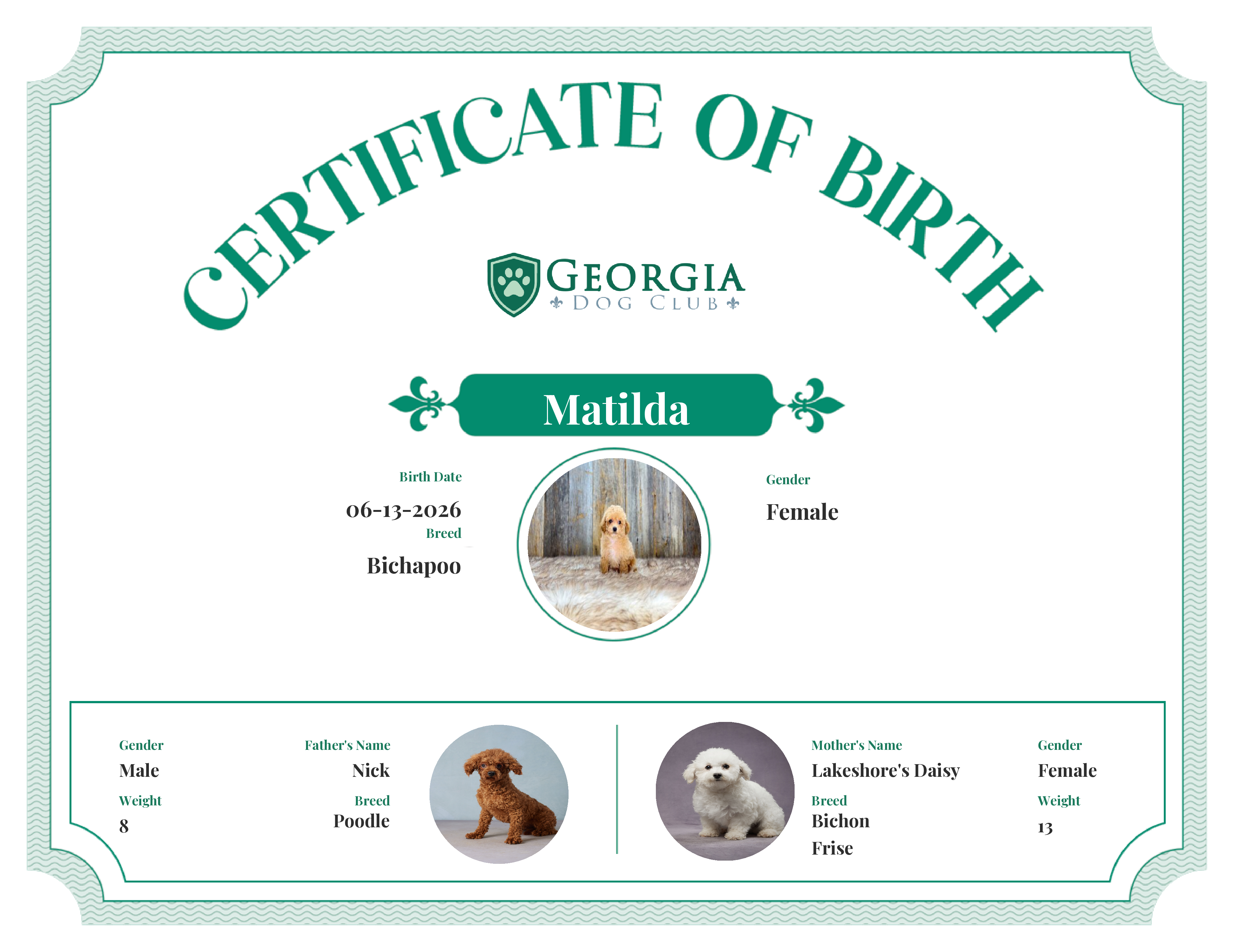 Matilda's Birth Certificate