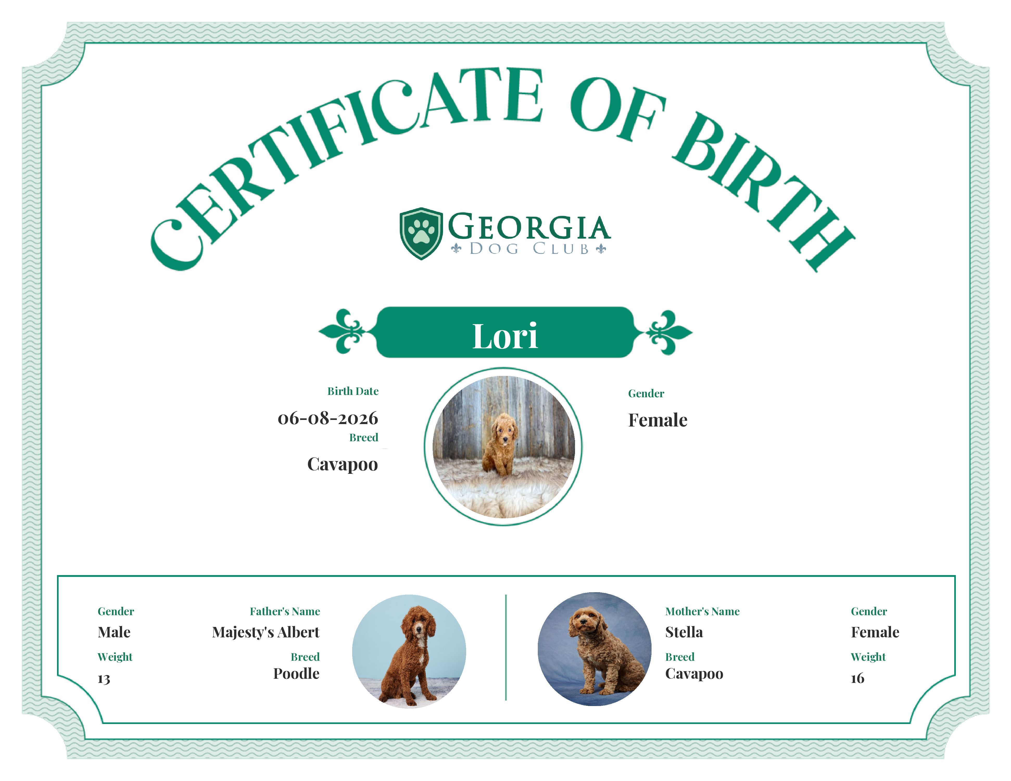 Lori's Birth Certificate