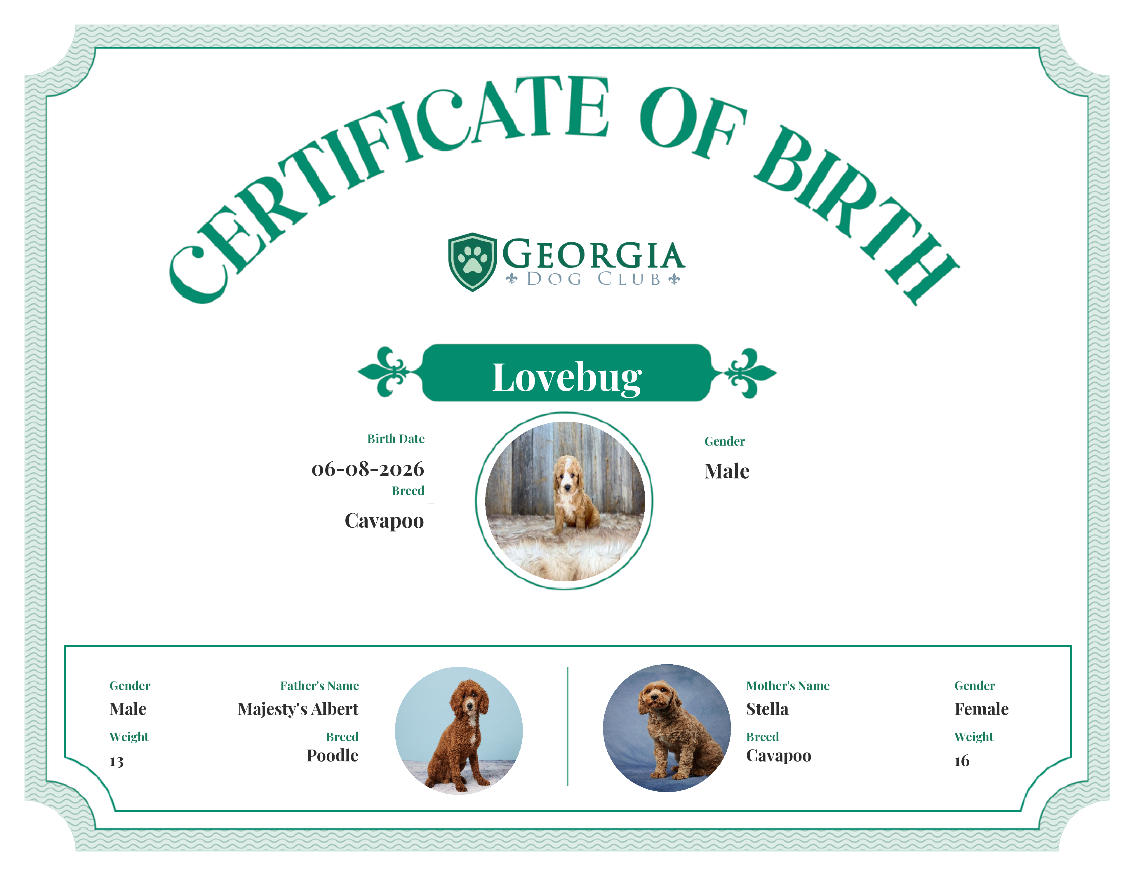 Lovebug's Birth Certificate