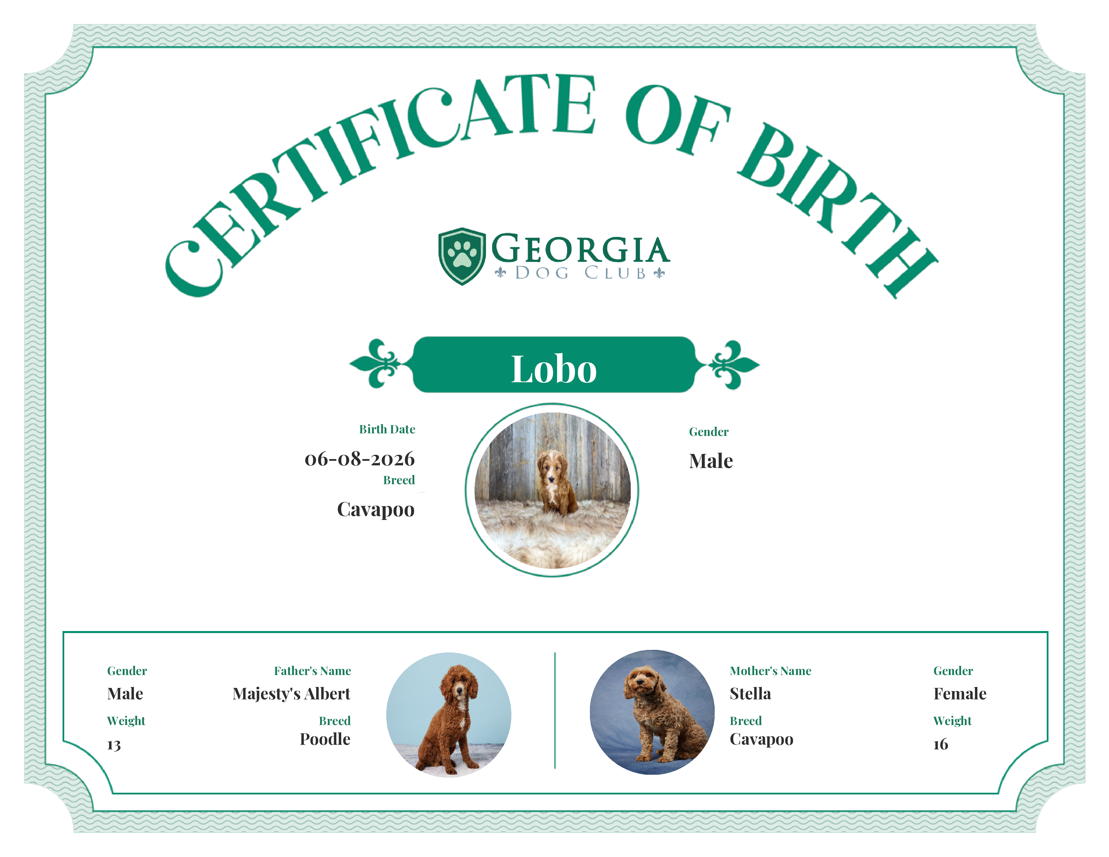 Lobo's Birth Certificate