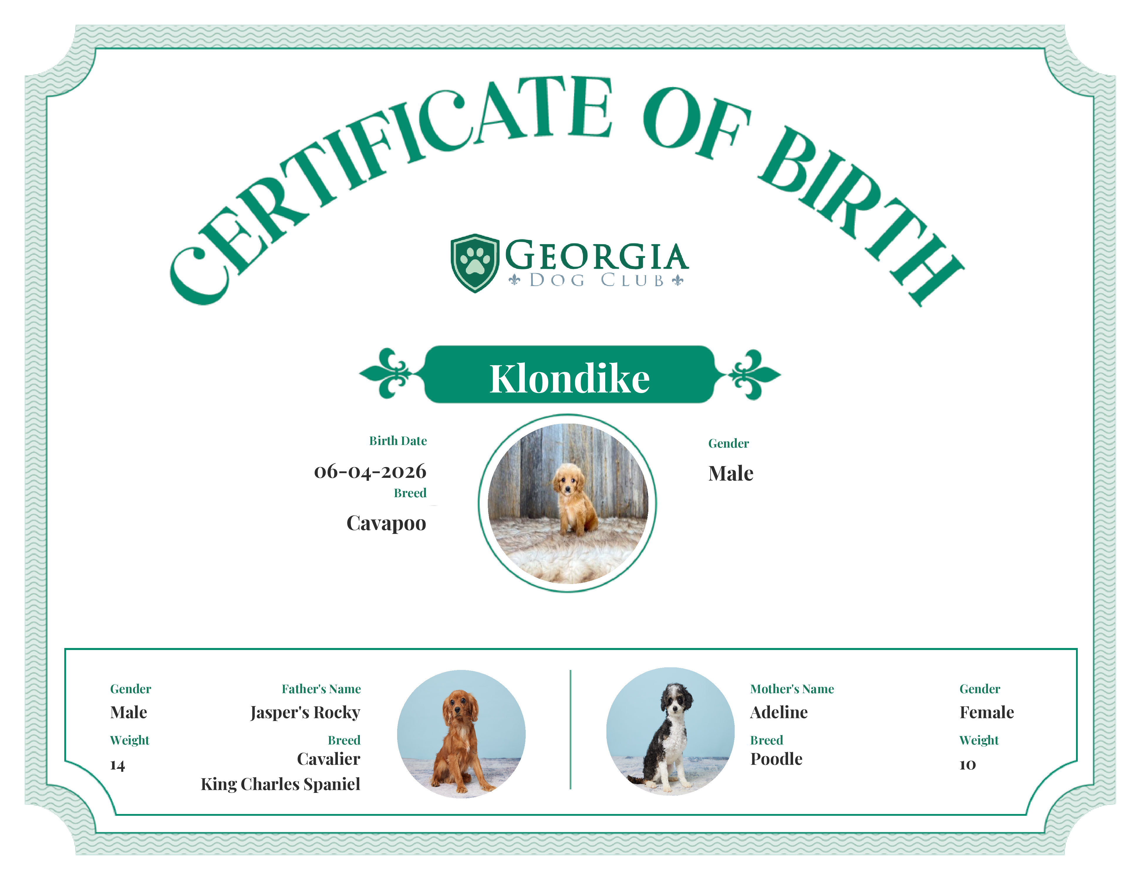 Klondike's Birth Certificate