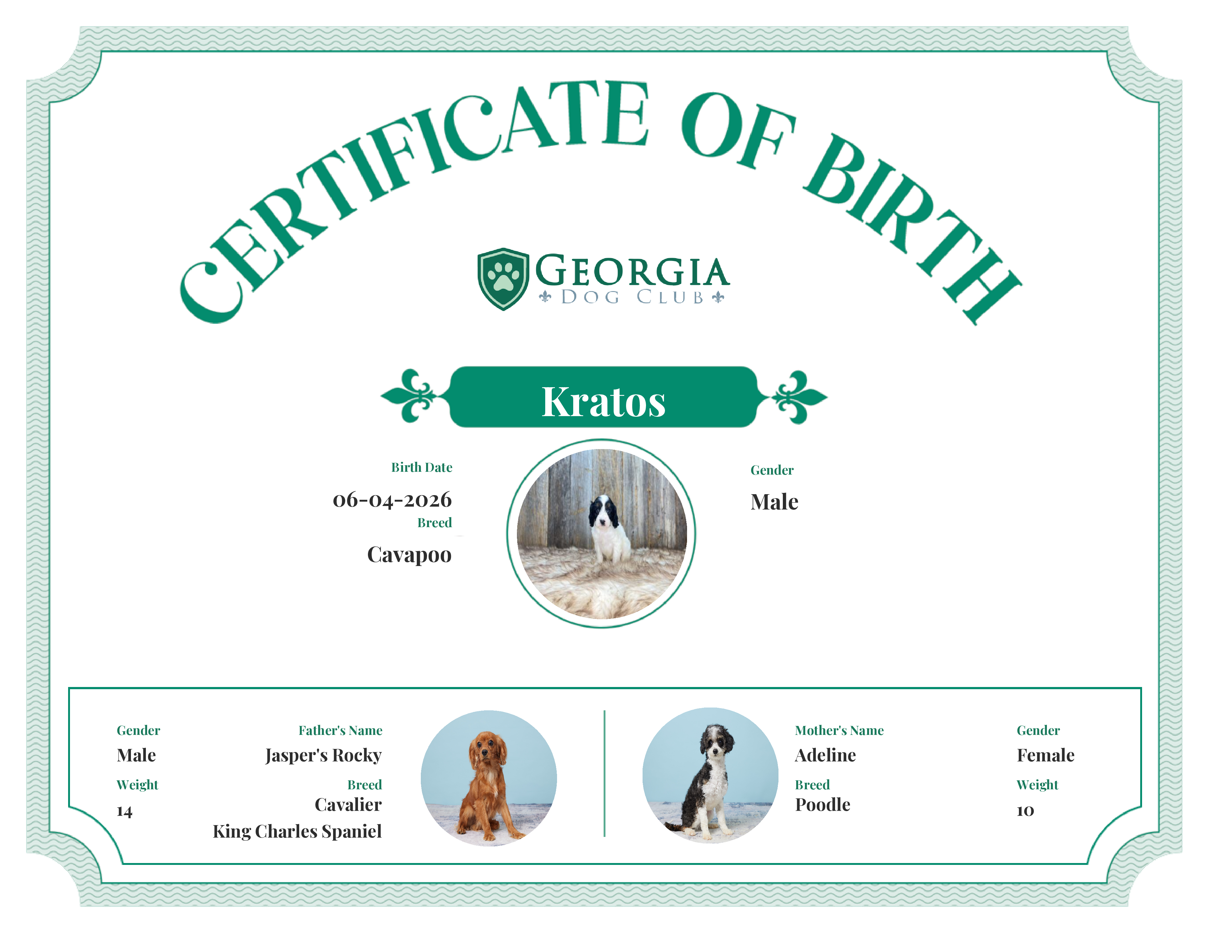 Kratos's Birth Certificate