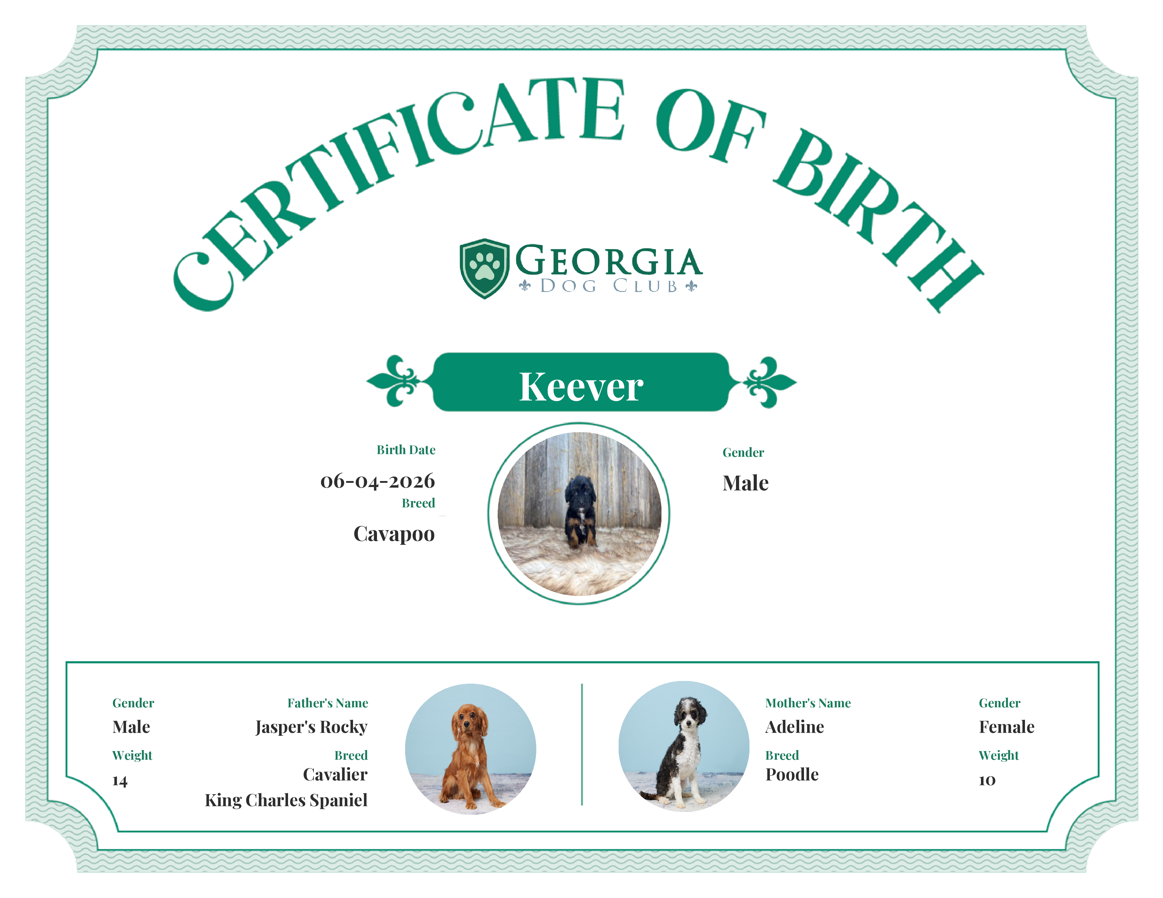 Keever's Birth Certificate