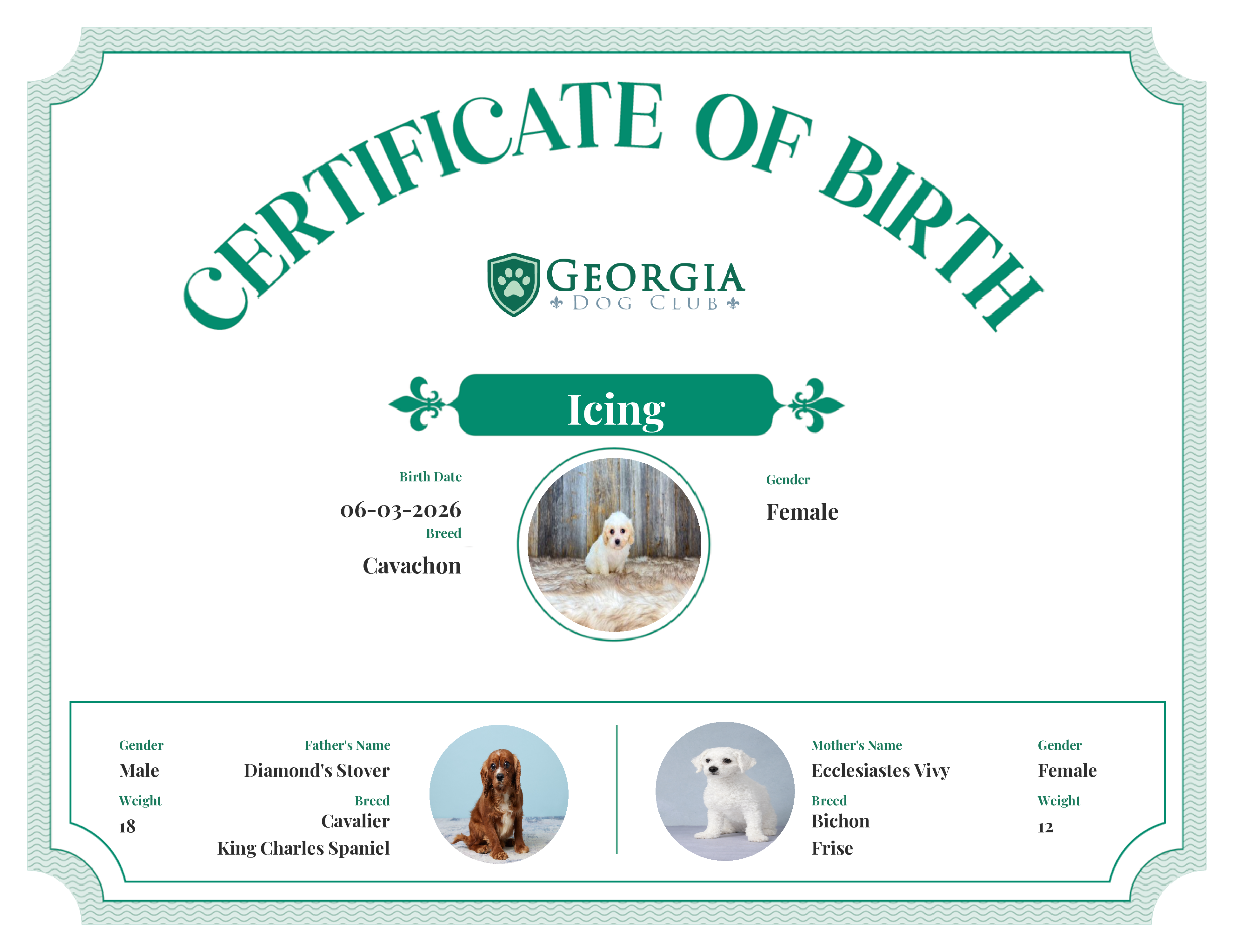 Icing's Birth Certificate