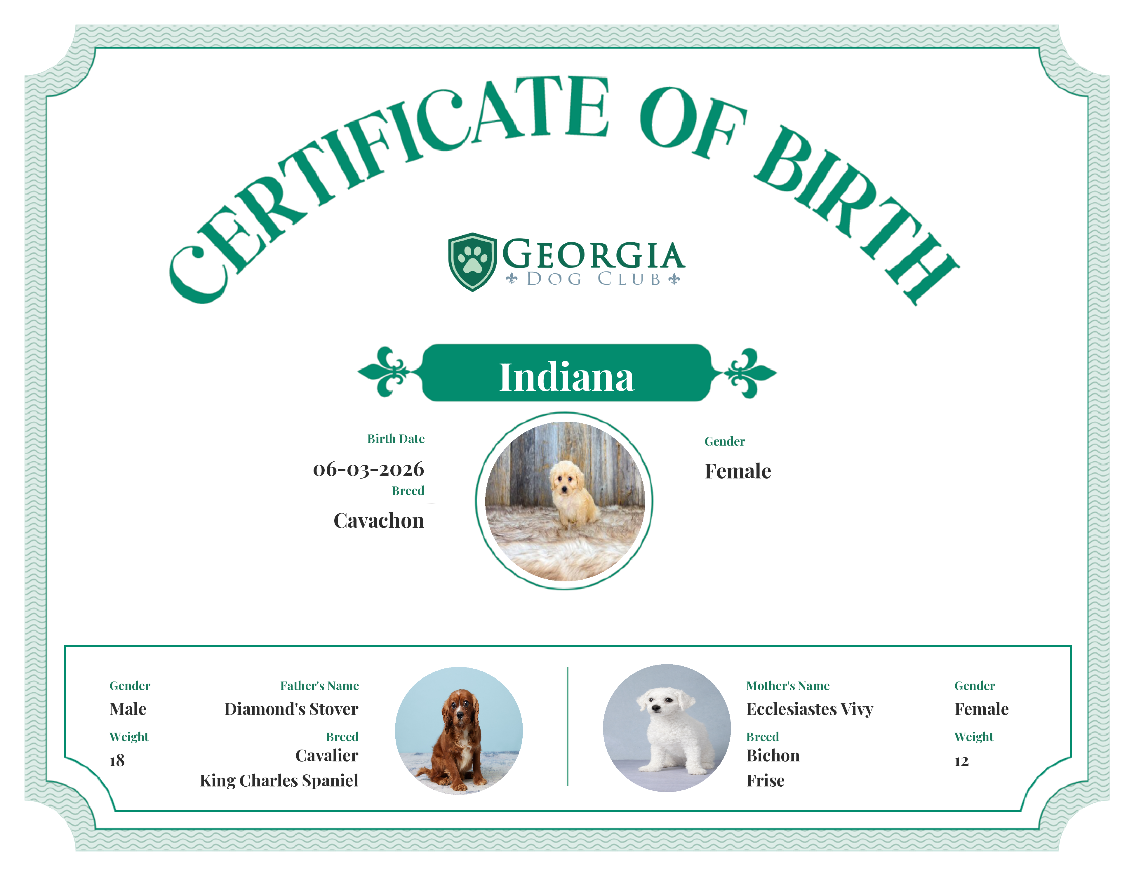 Indiana's Birth Certificate