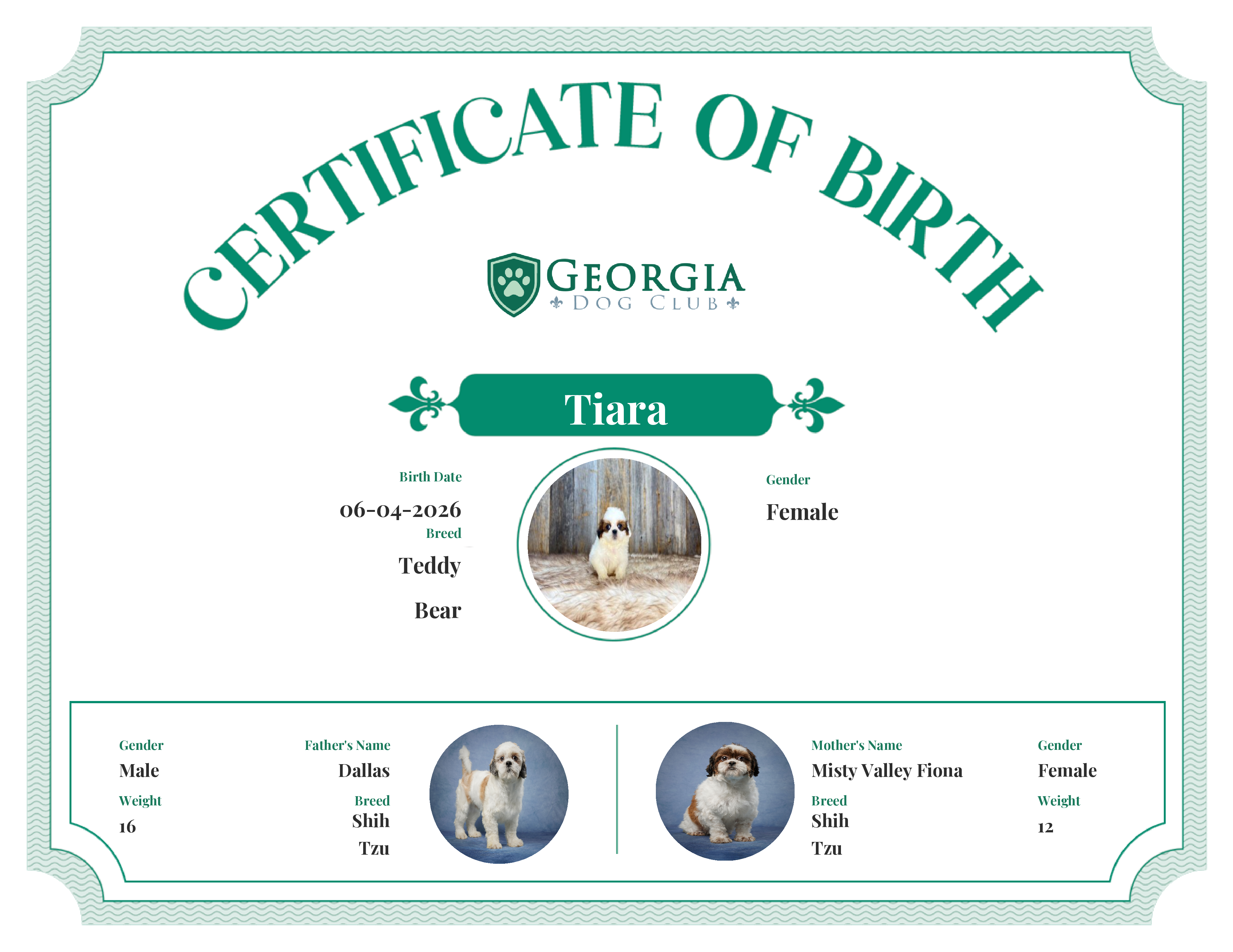 Tiara's Birth Certificate