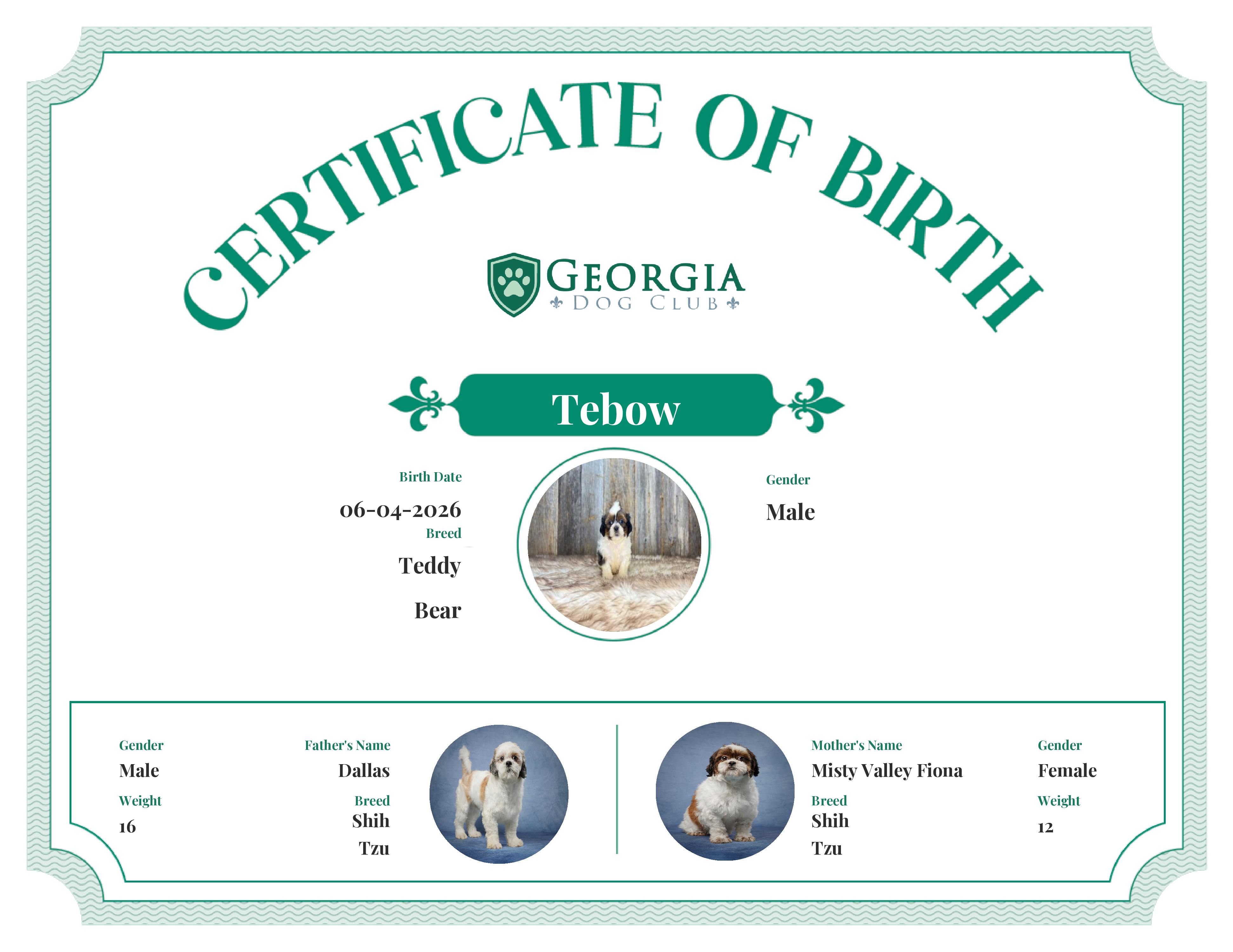 Tebow's Birth Certificate