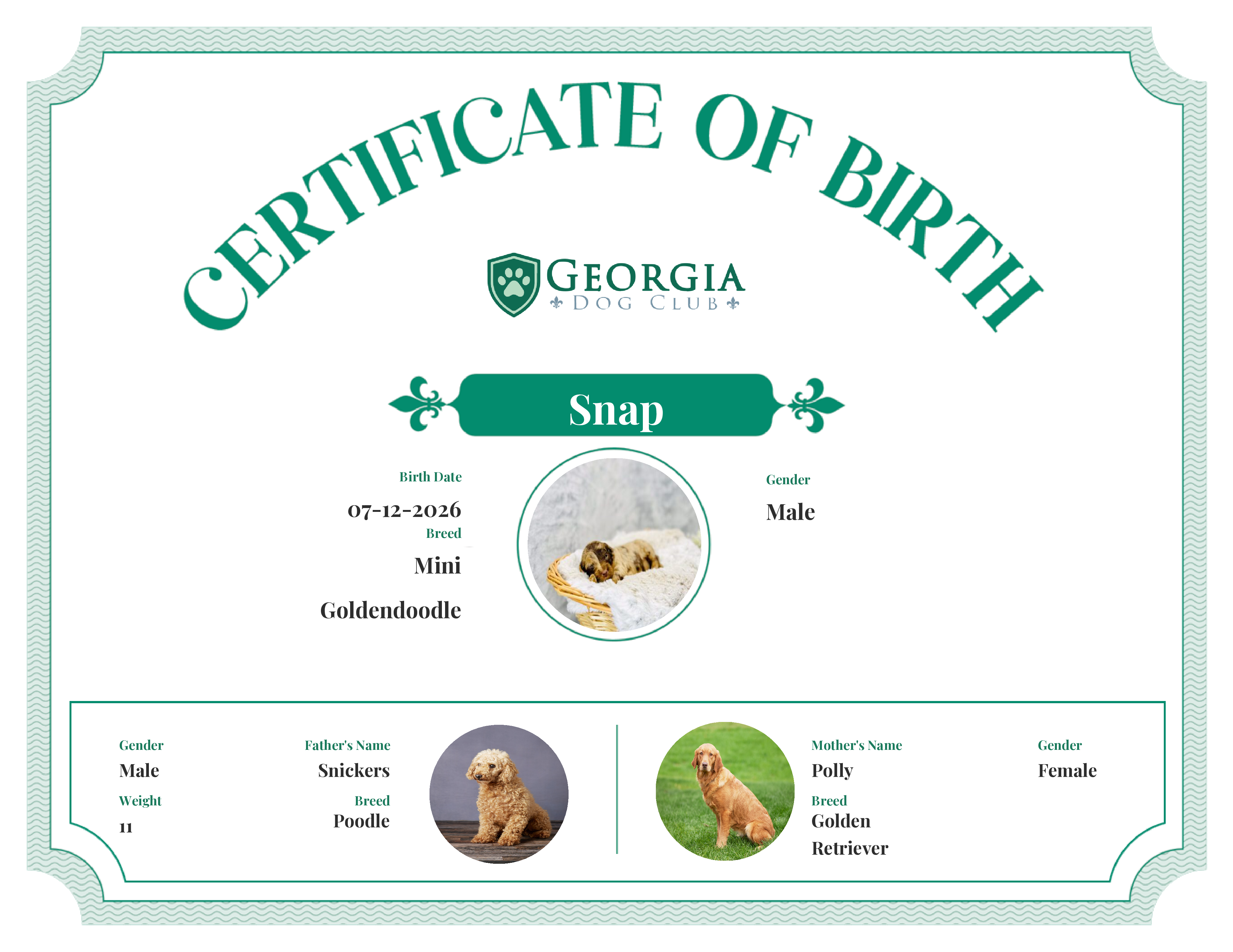 Snap's Birth Certificate