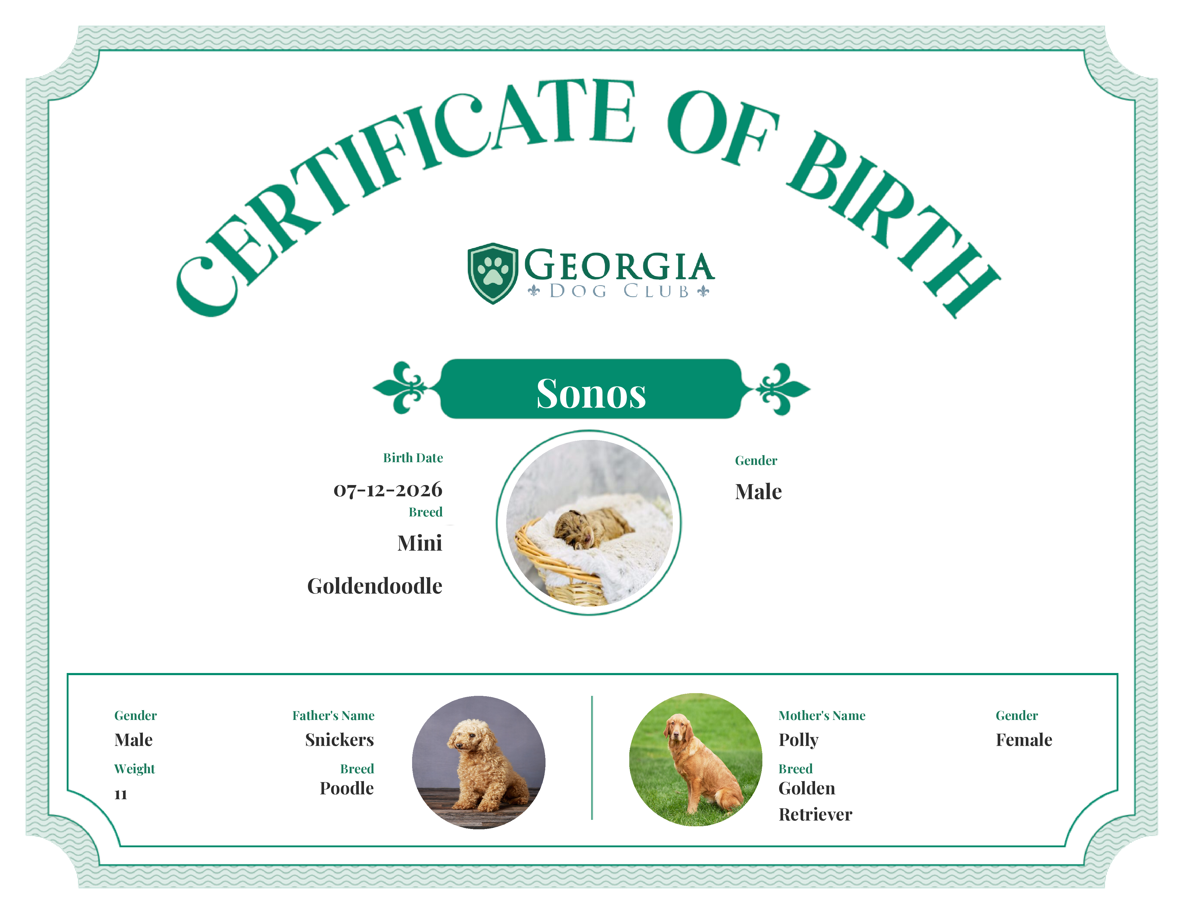 Sonos's Birth Certificate