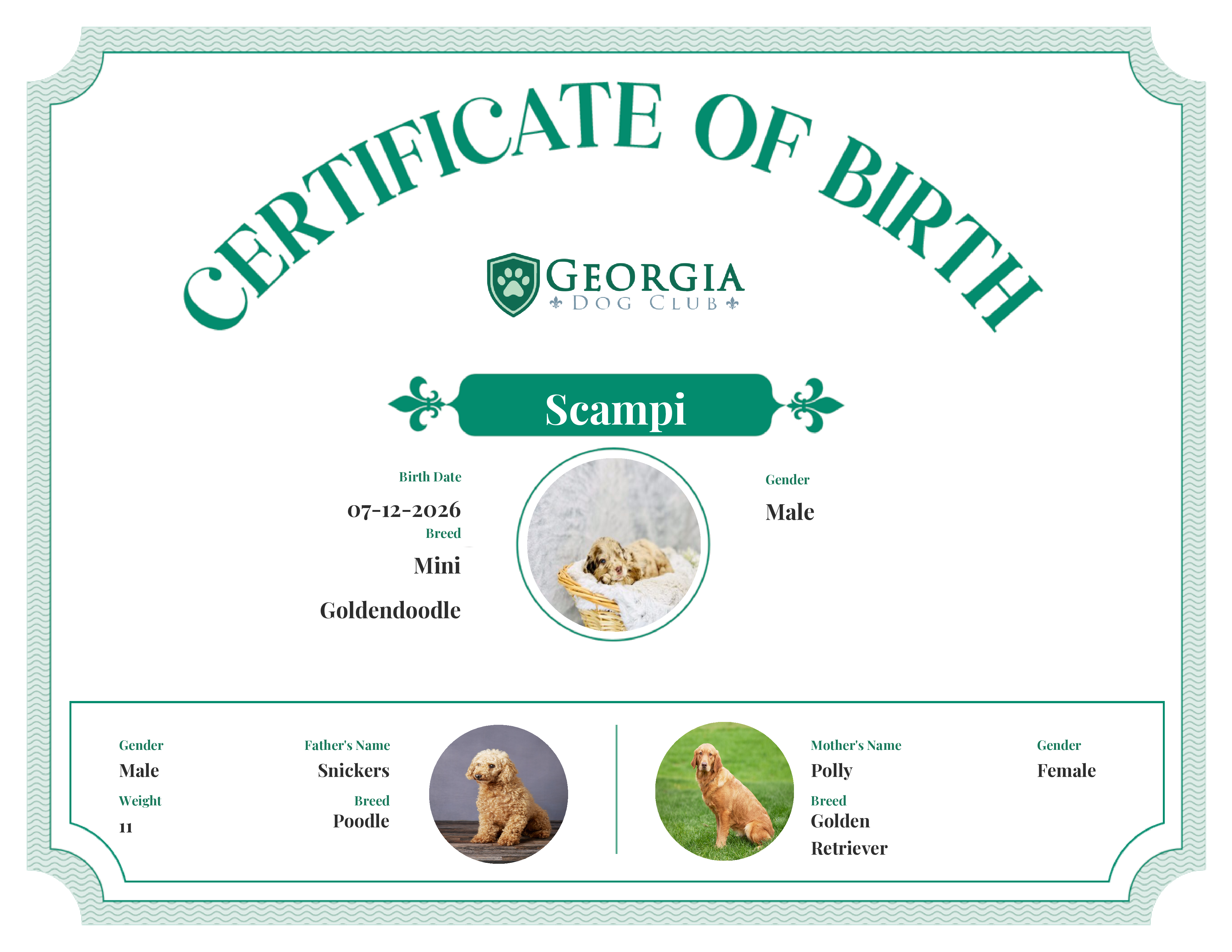 Scampi's Birth Certificate