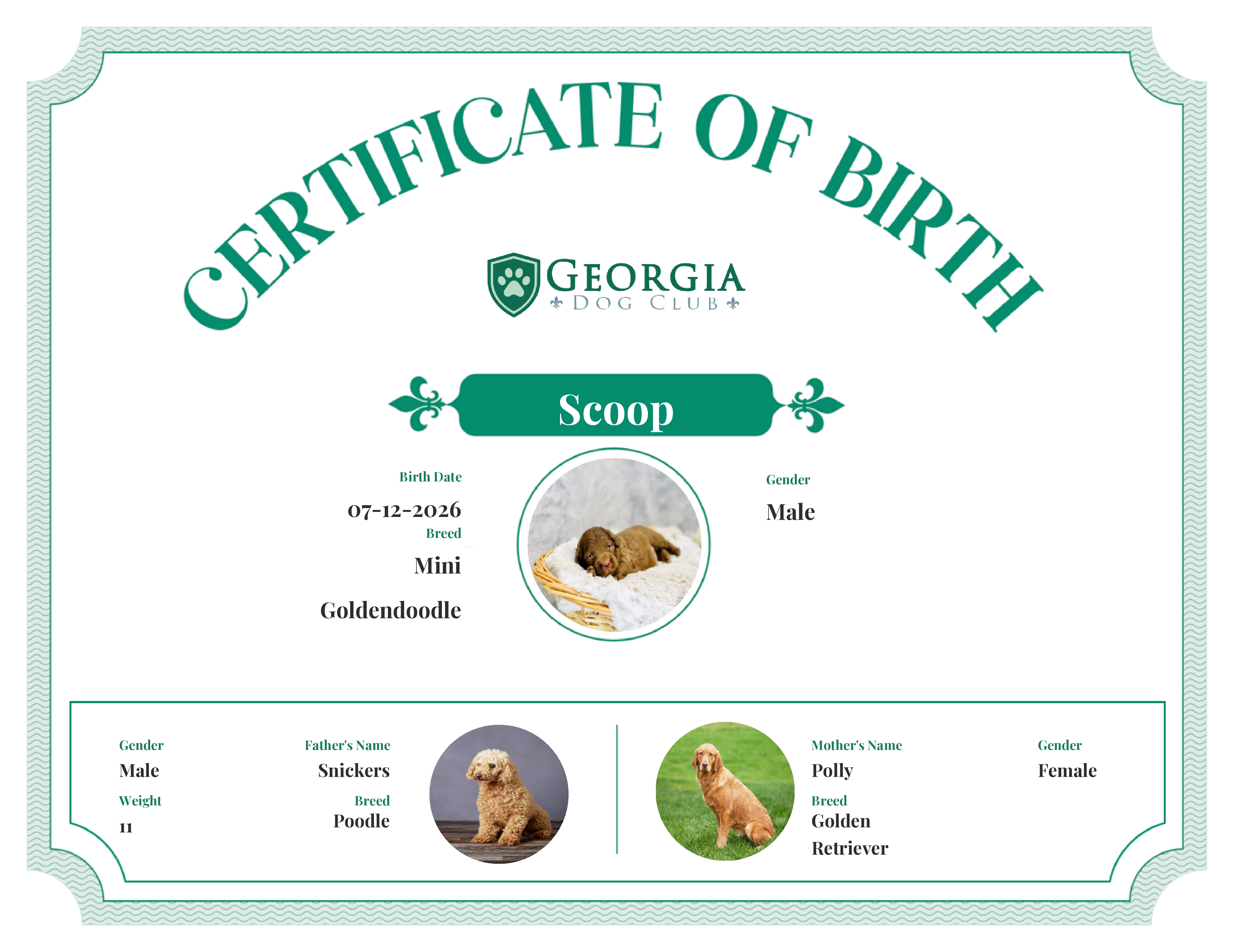 Scoop's Birth Certificate