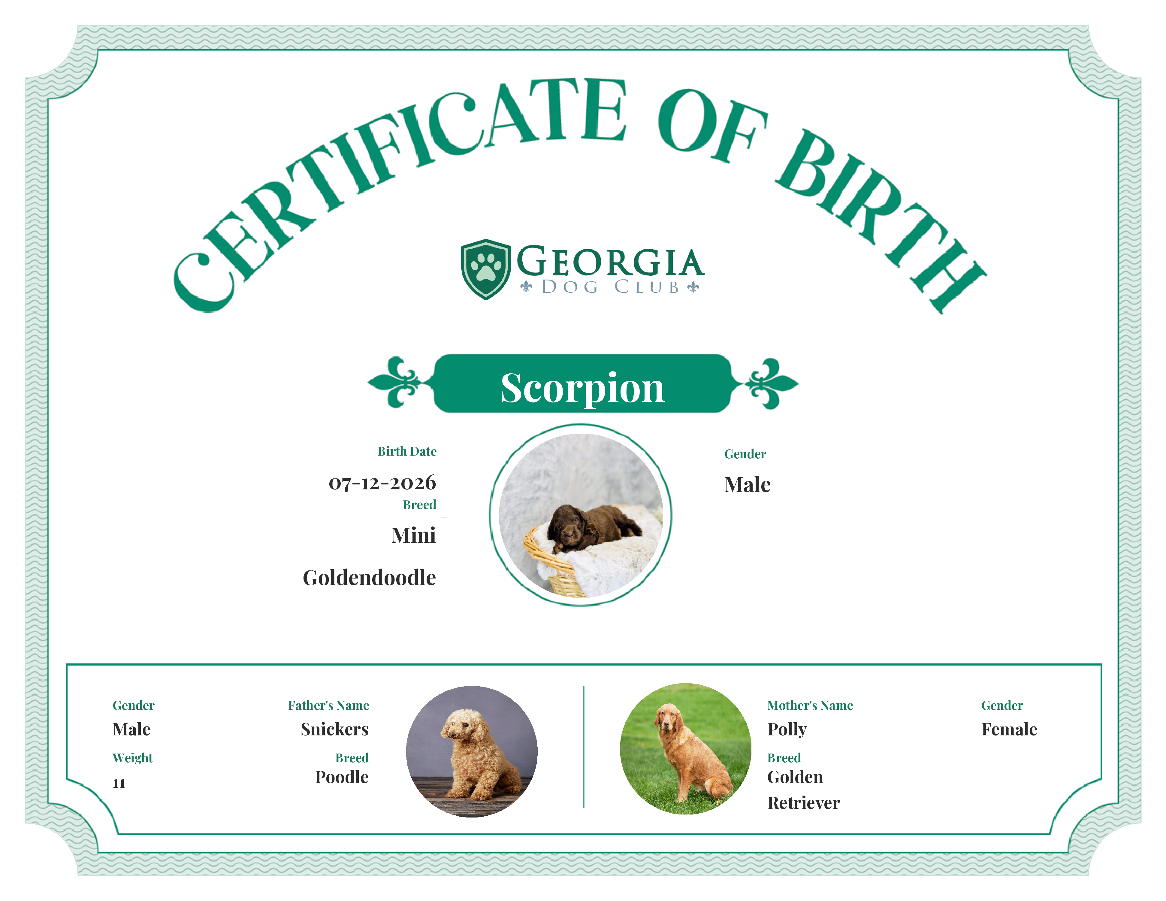 Scorpion's Birth Certificate