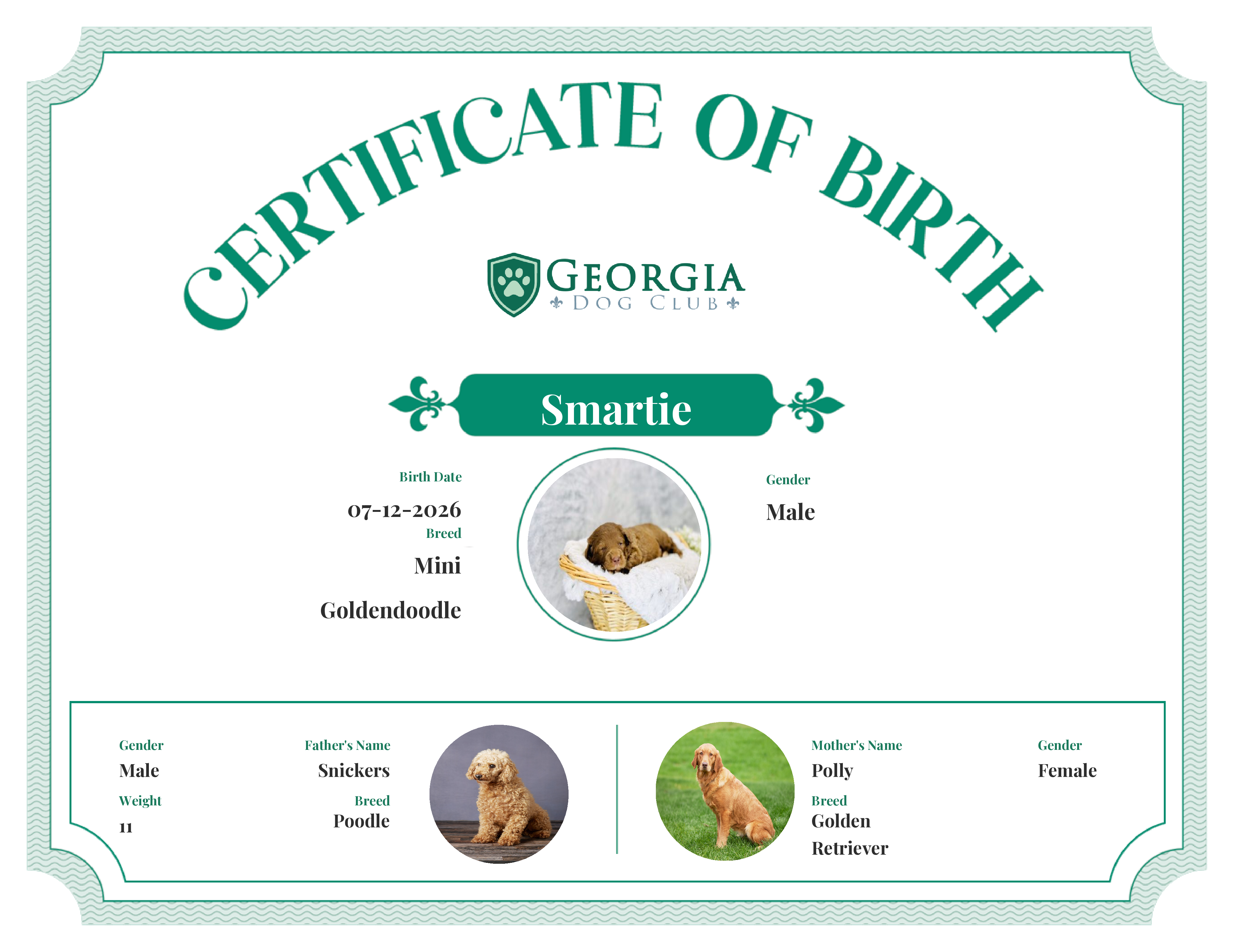 Smartie's Birth Certificate