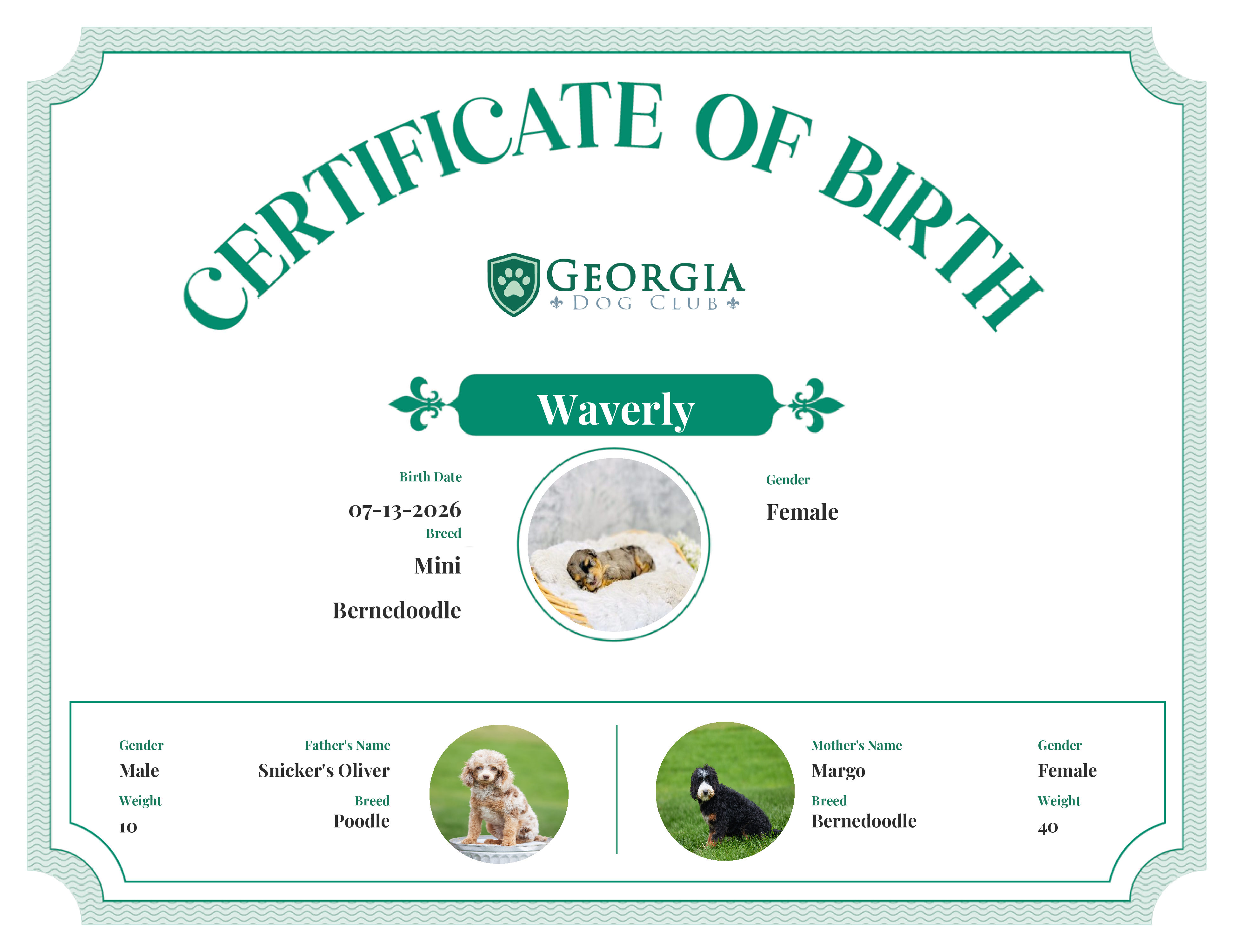 Waverly's Birth Certificate