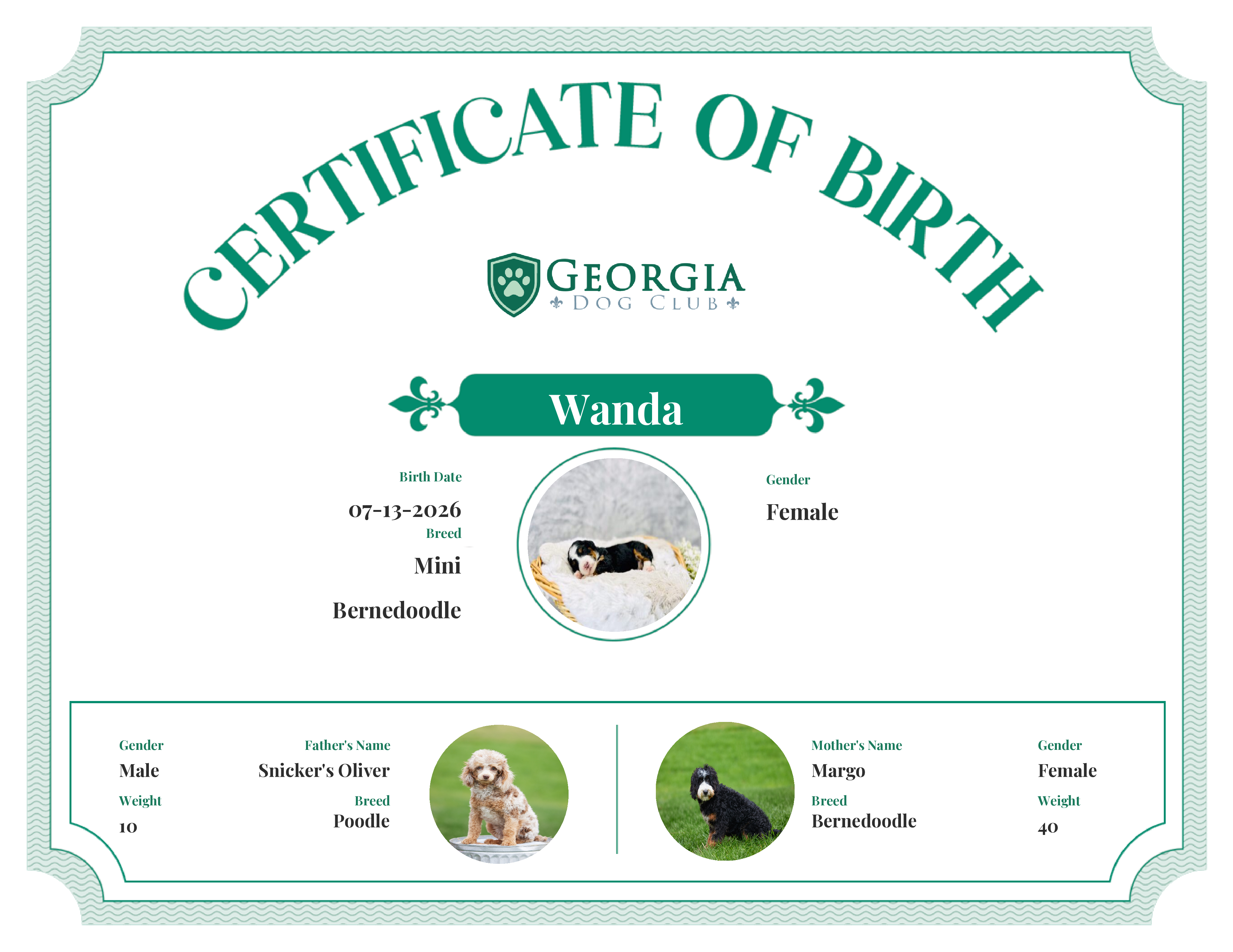 Wanda's Birth Certificate