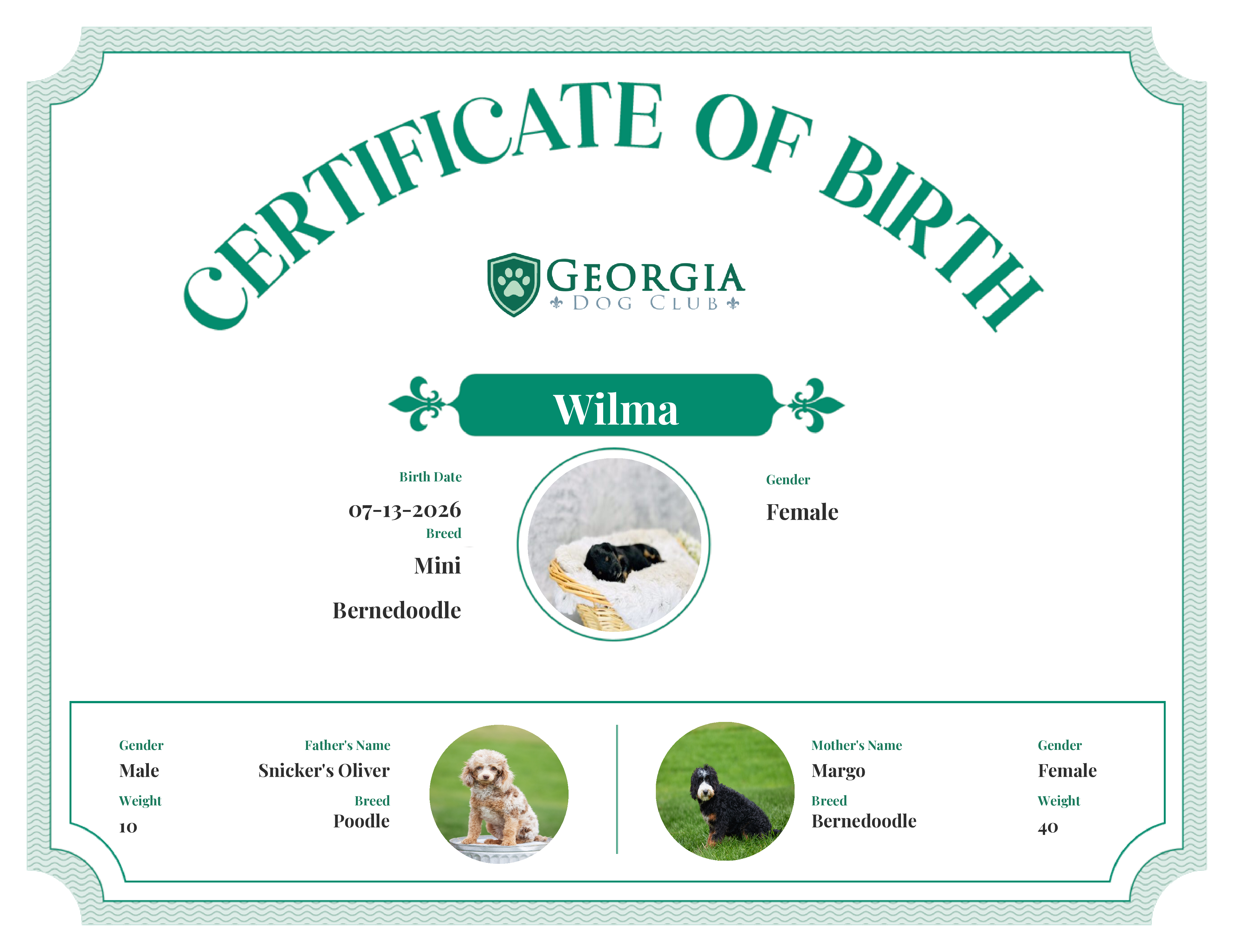 Wilma's Birth Certificate