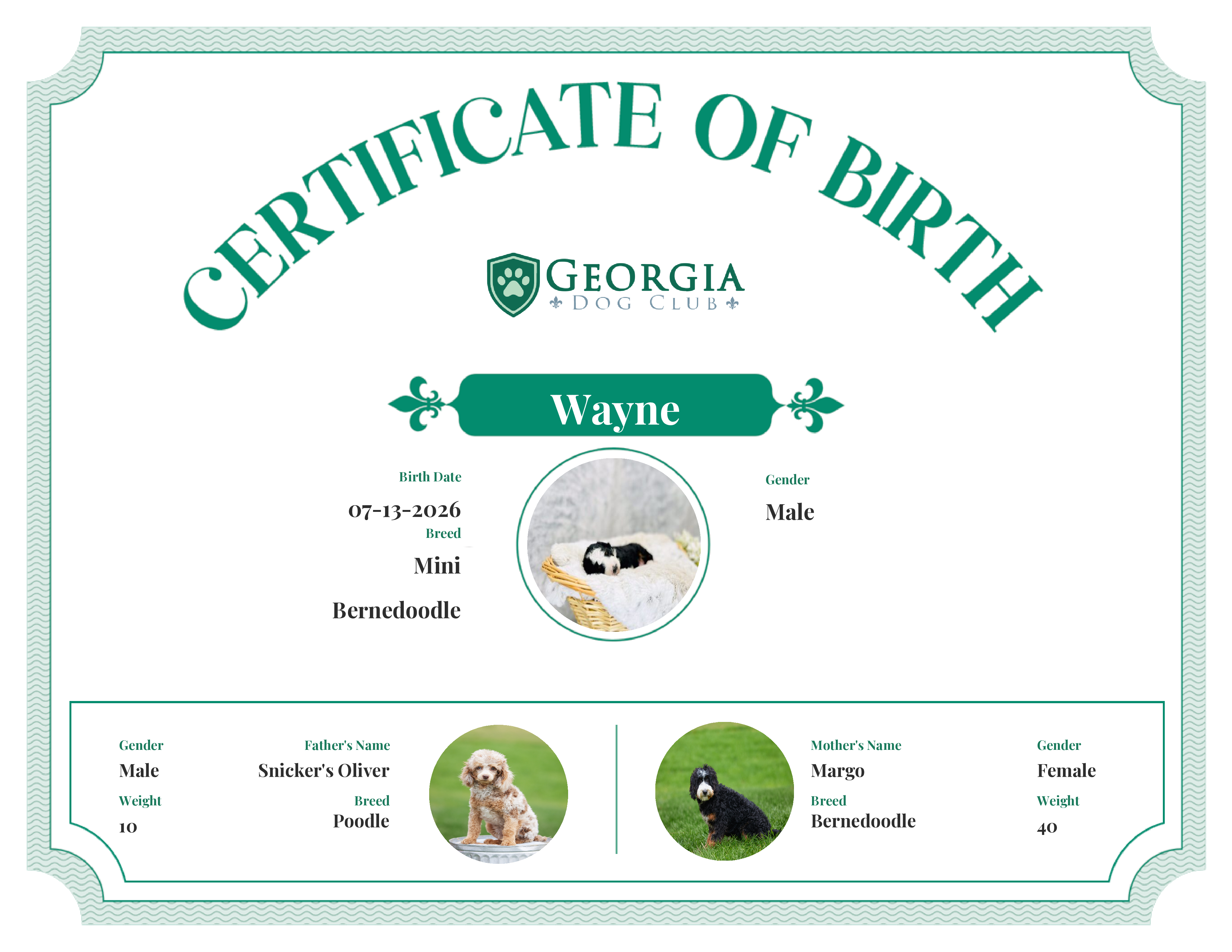 Wayne's Birth Certificate