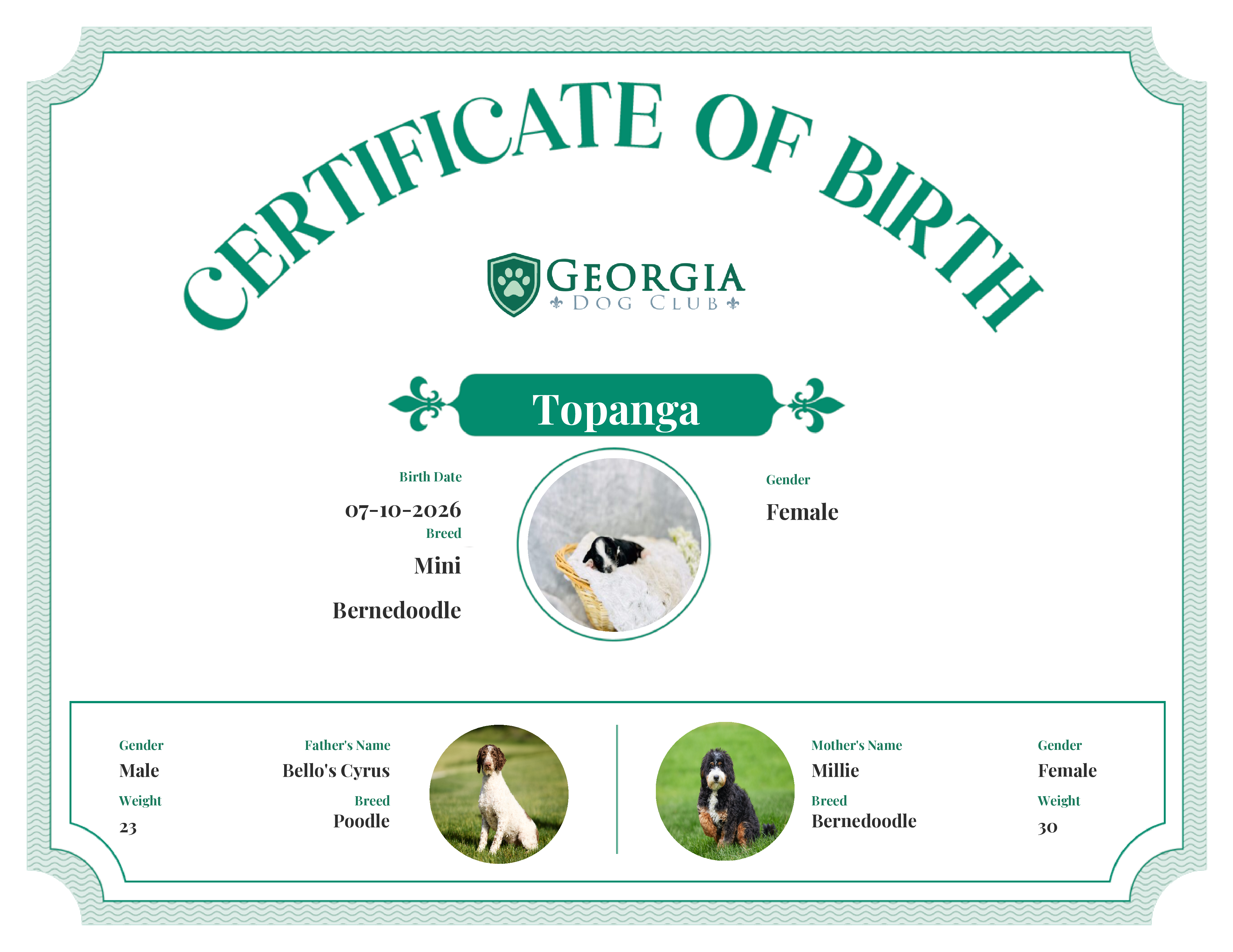 Topanga's Birth Certificate