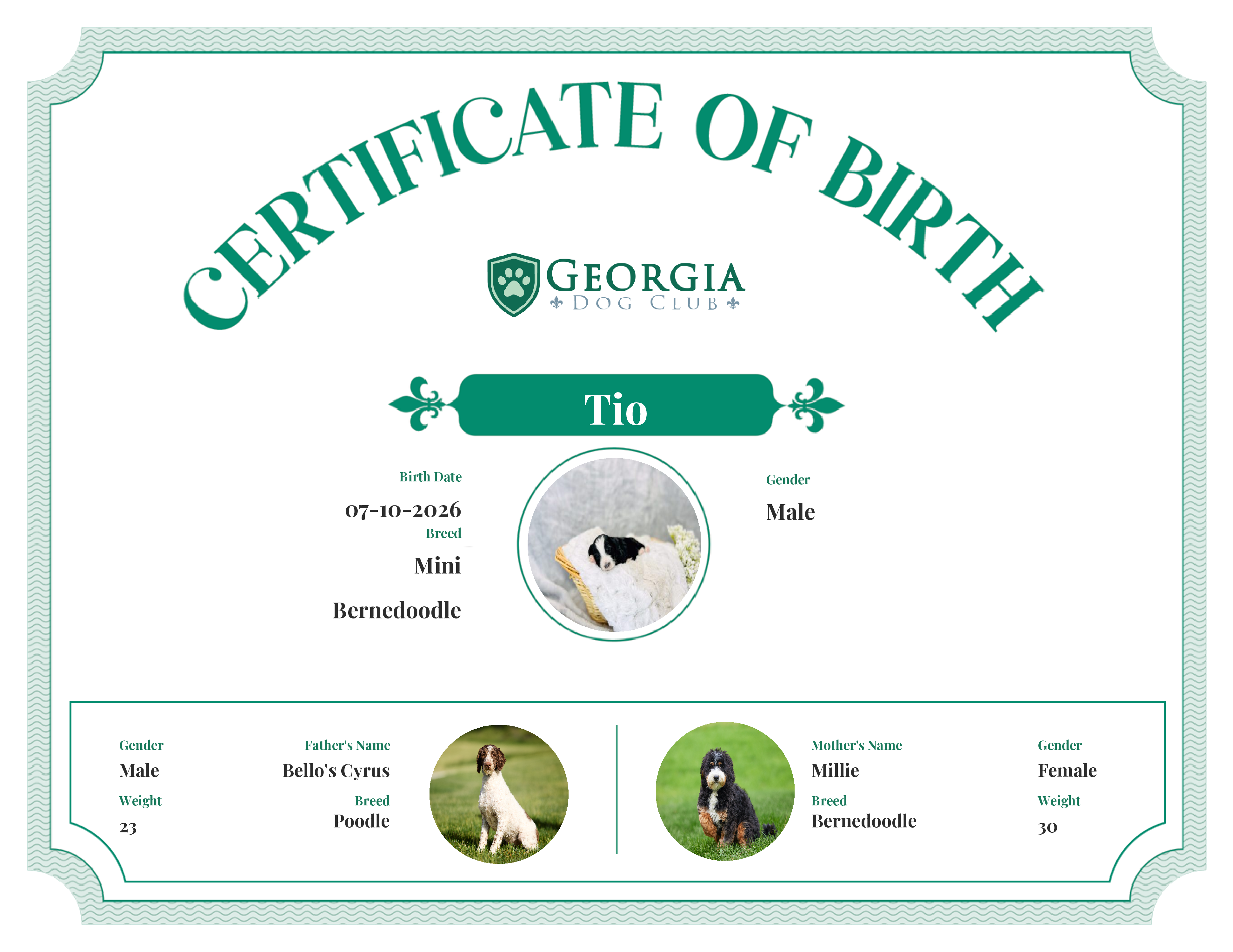 Tio's Birth Certificate